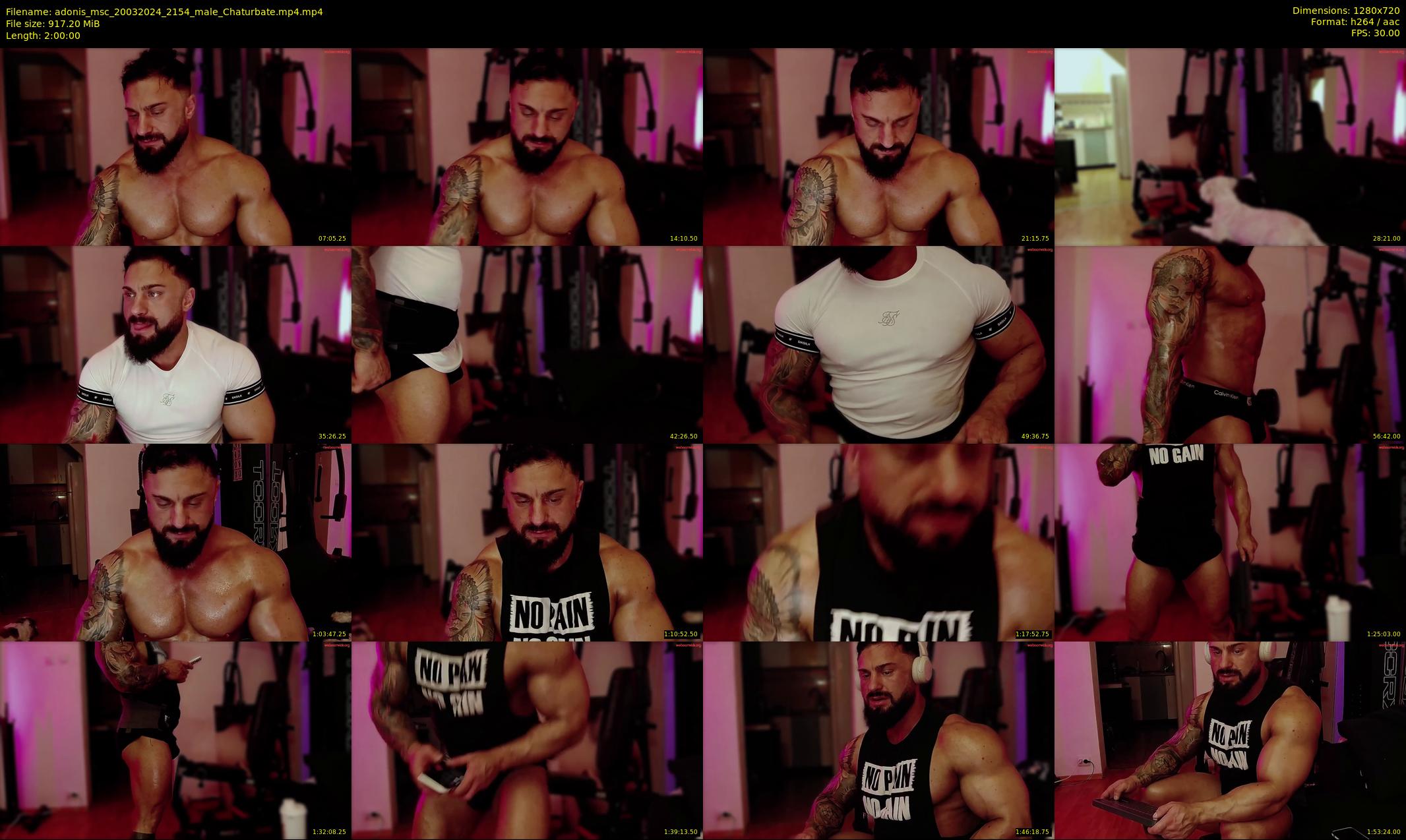 adonis_msc — 120 minute Chaturbate male cam show recording, 720p, Mar 20, 2024