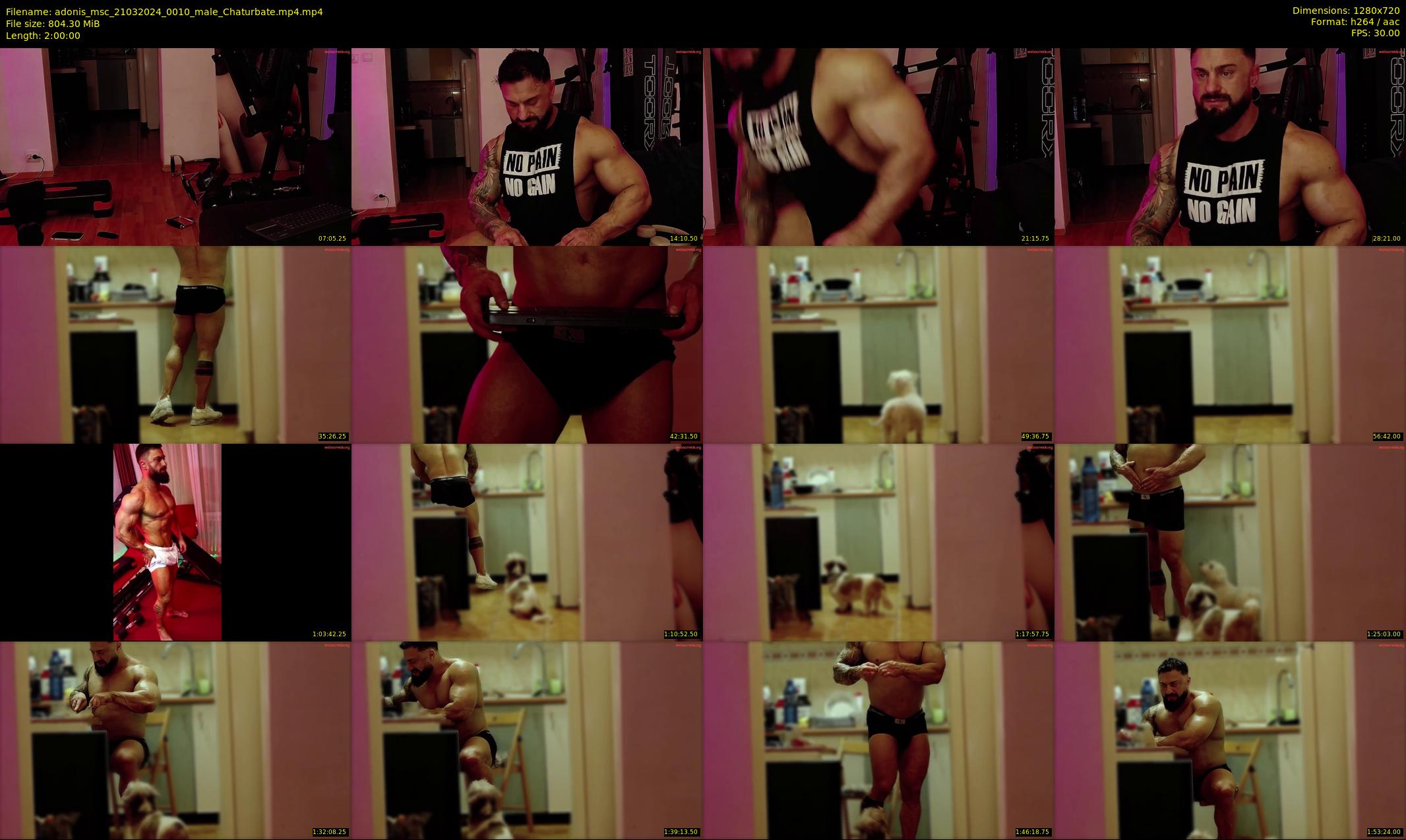 adonis_msc — 120 minute Chaturbate male cam show recording, 720p, Mar 21, 2024