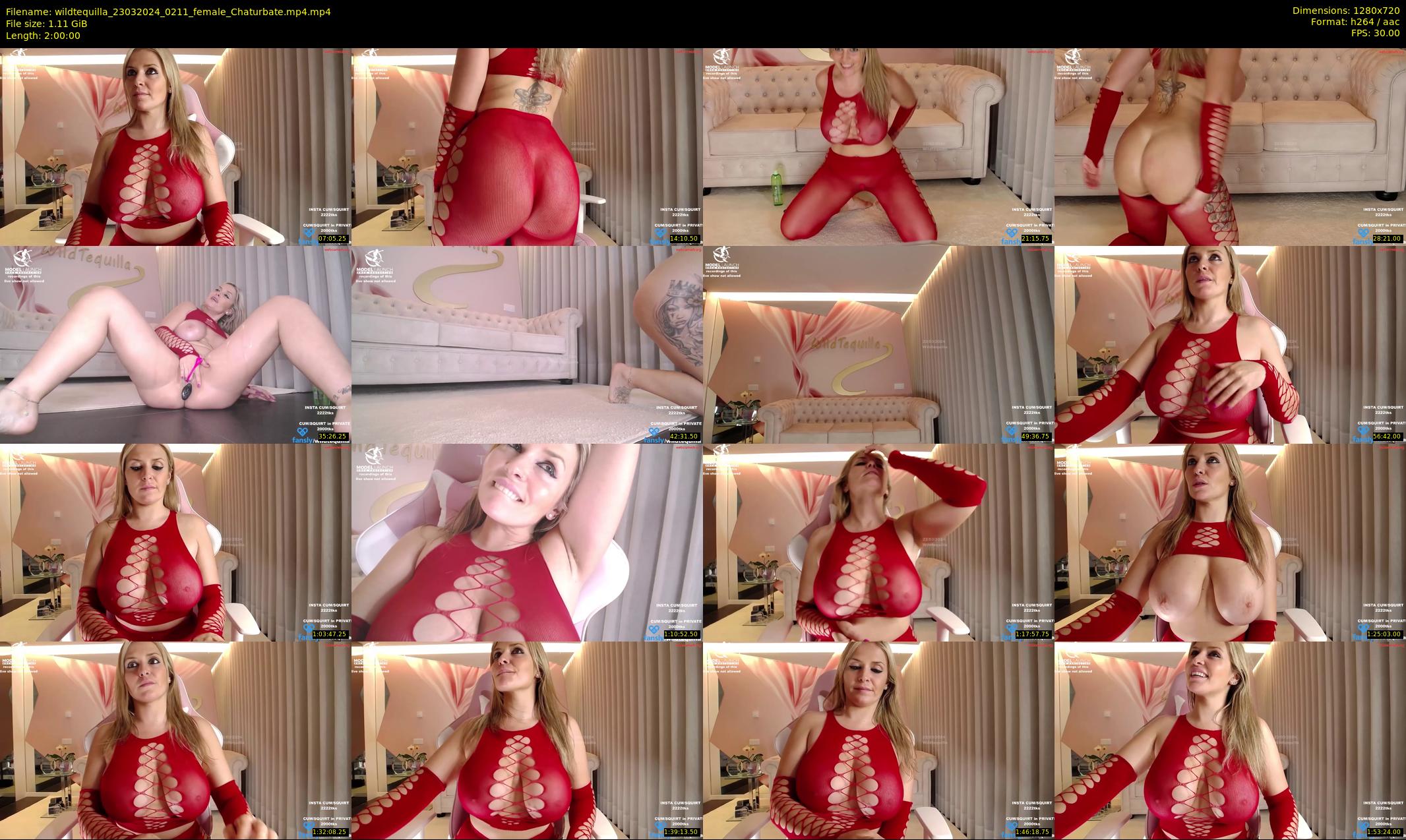 wildtequilla — 120 minute Chaturbate couple cam show recording, 720p, Mar 23, 2024