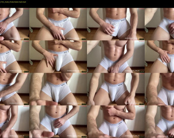 bestdick1991 — 29 minute Chaturbate male cam show recording, 480p, Mar 23, 2024