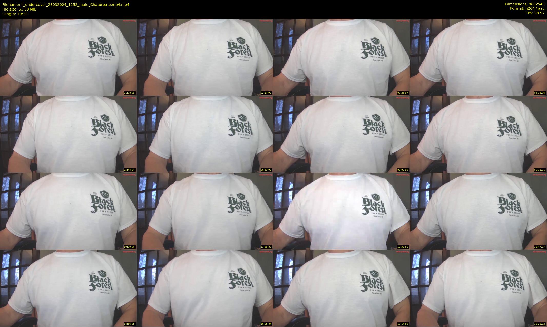 il_undercover — 20 minute Chaturbate male cam show recording, 480p, Mar 23, 2024