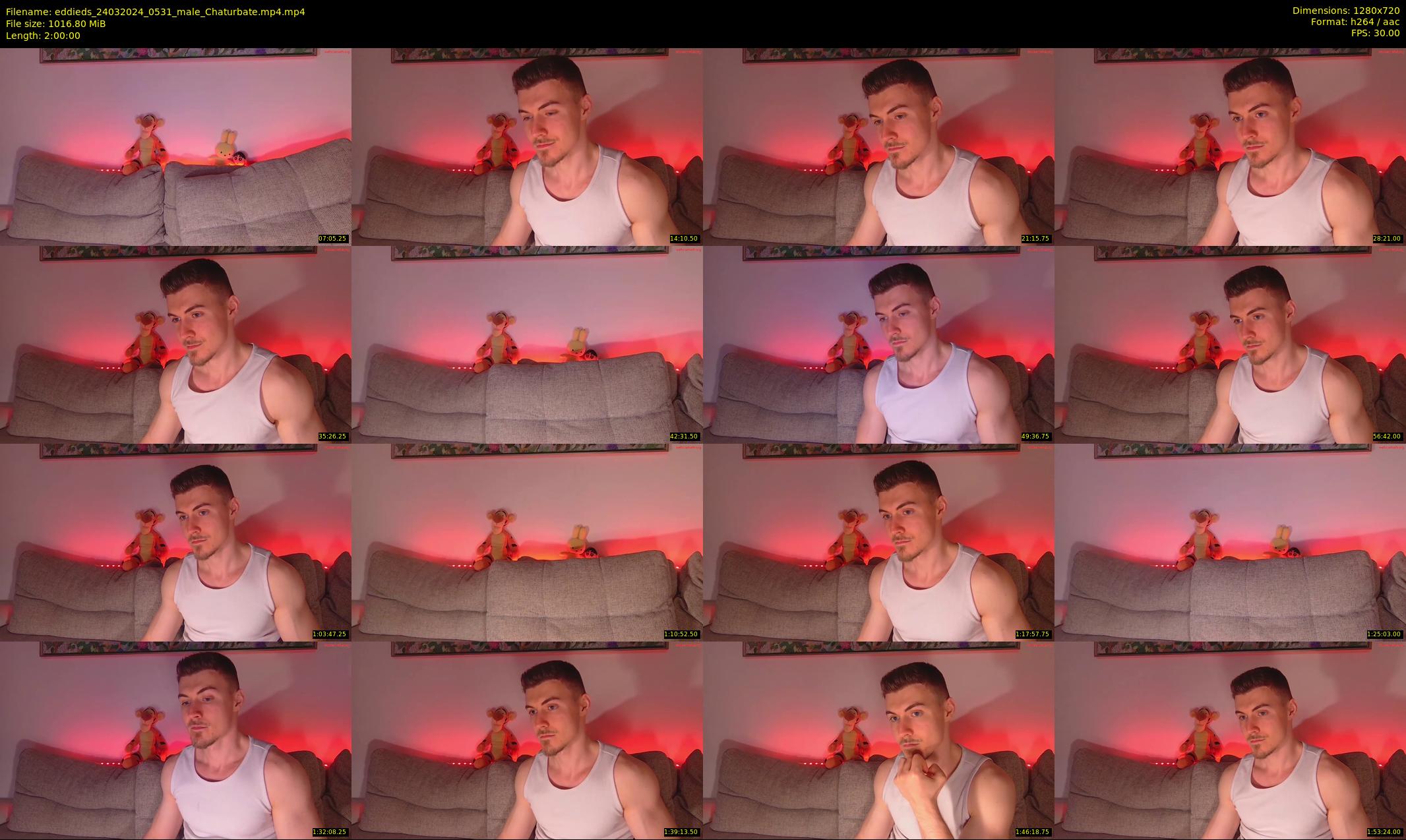 eddieds — 120 minute Chaturbate male cam show recording, 720p, Mar 24, 2024