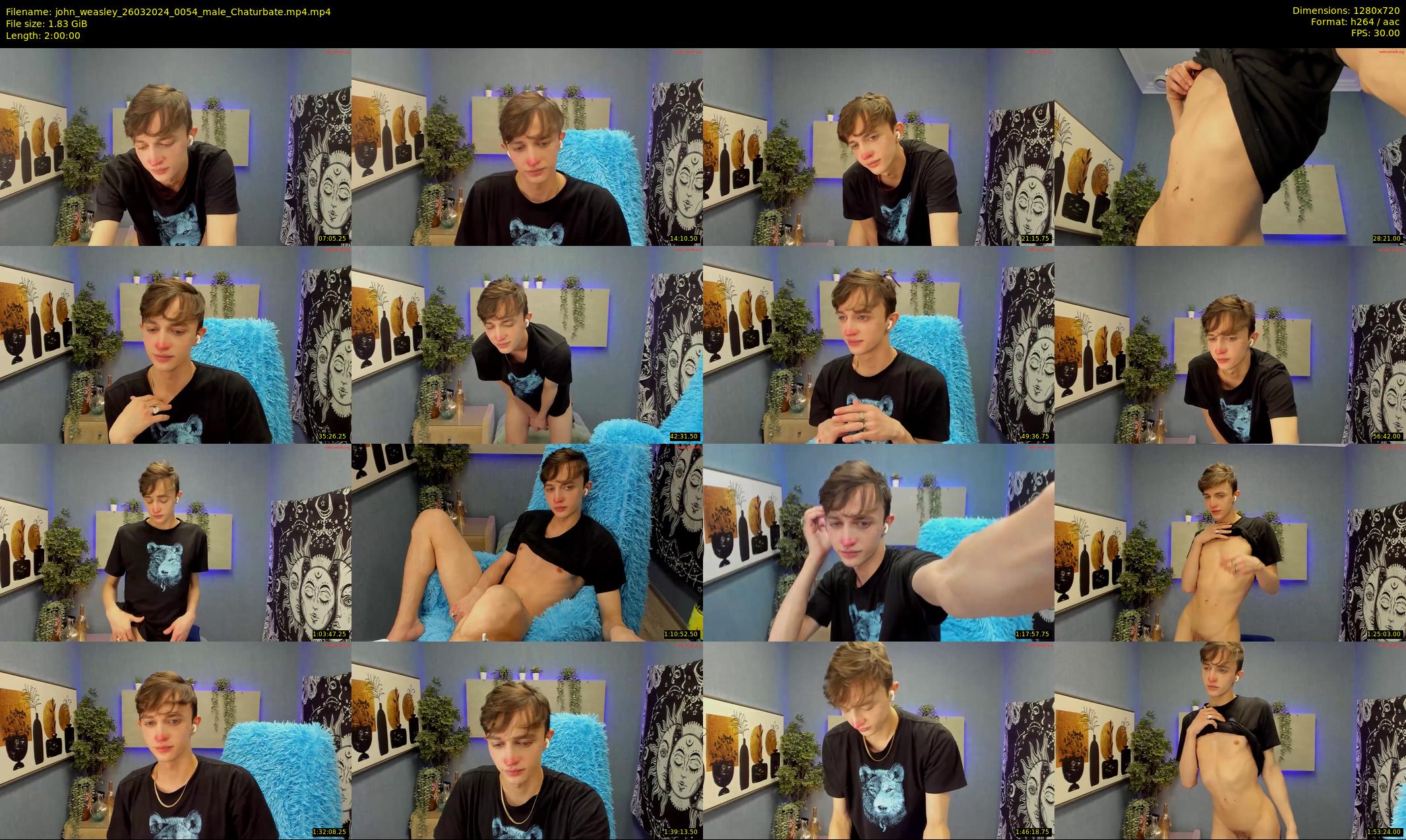 john_weasley — 120 minute Chaturbate male cam show recording, 720p, Mar 26, 2024
