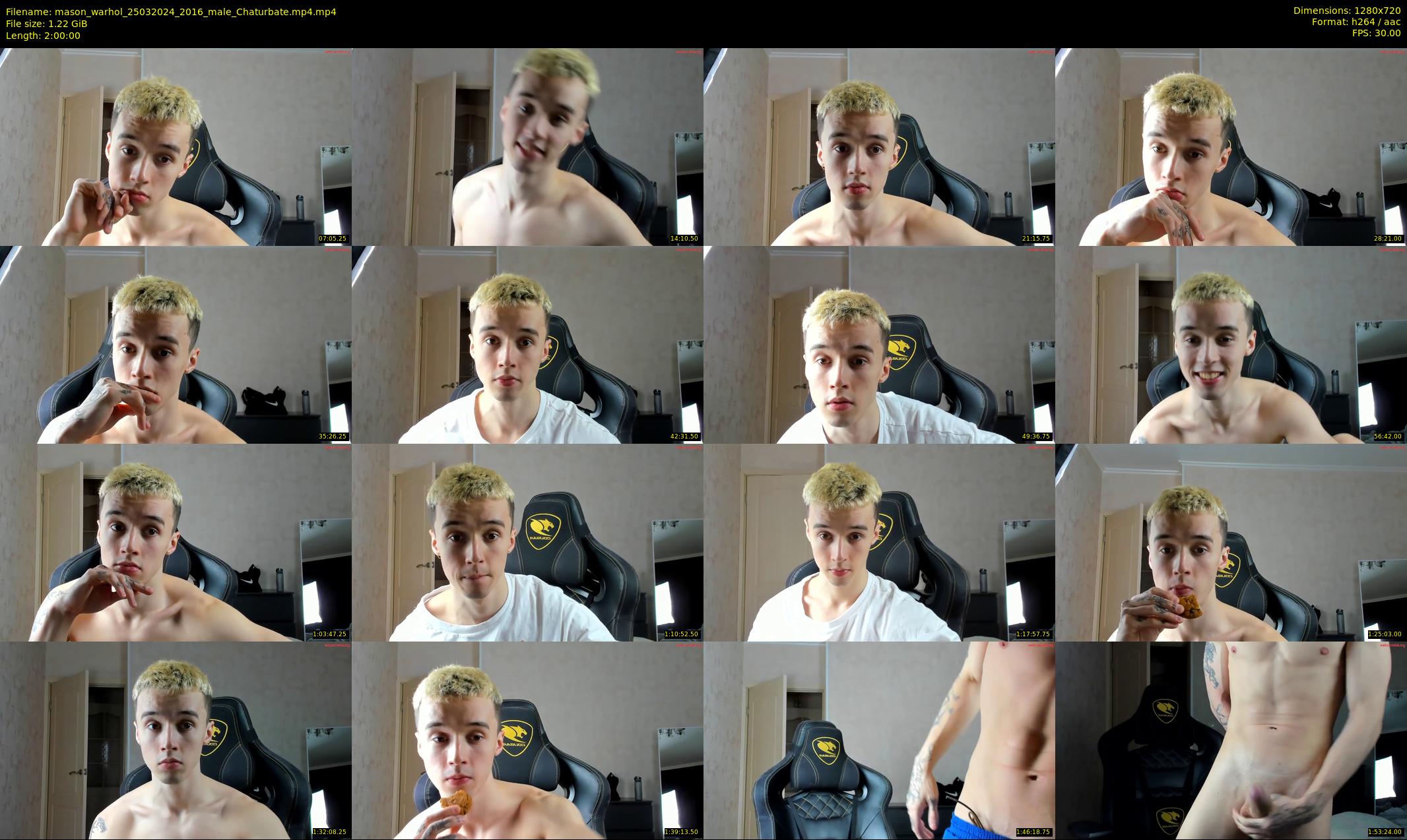 mason_warhol — 120 minute Chaturbate male cam show recording, 720p, Mar 25, 2024