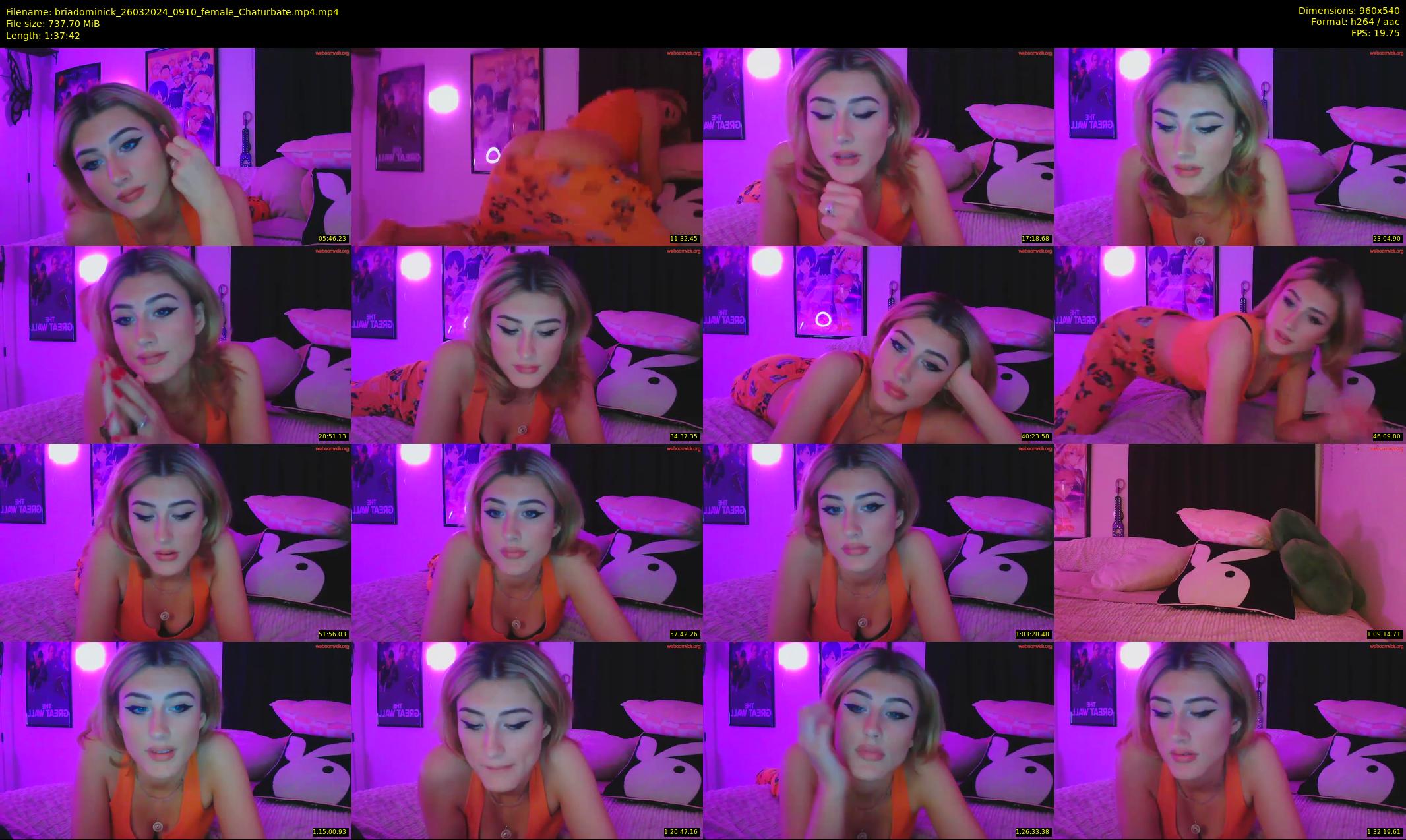 briadominick — 98 minute Chaturbate couple cam show recording, 480p, Mar 26, 2024