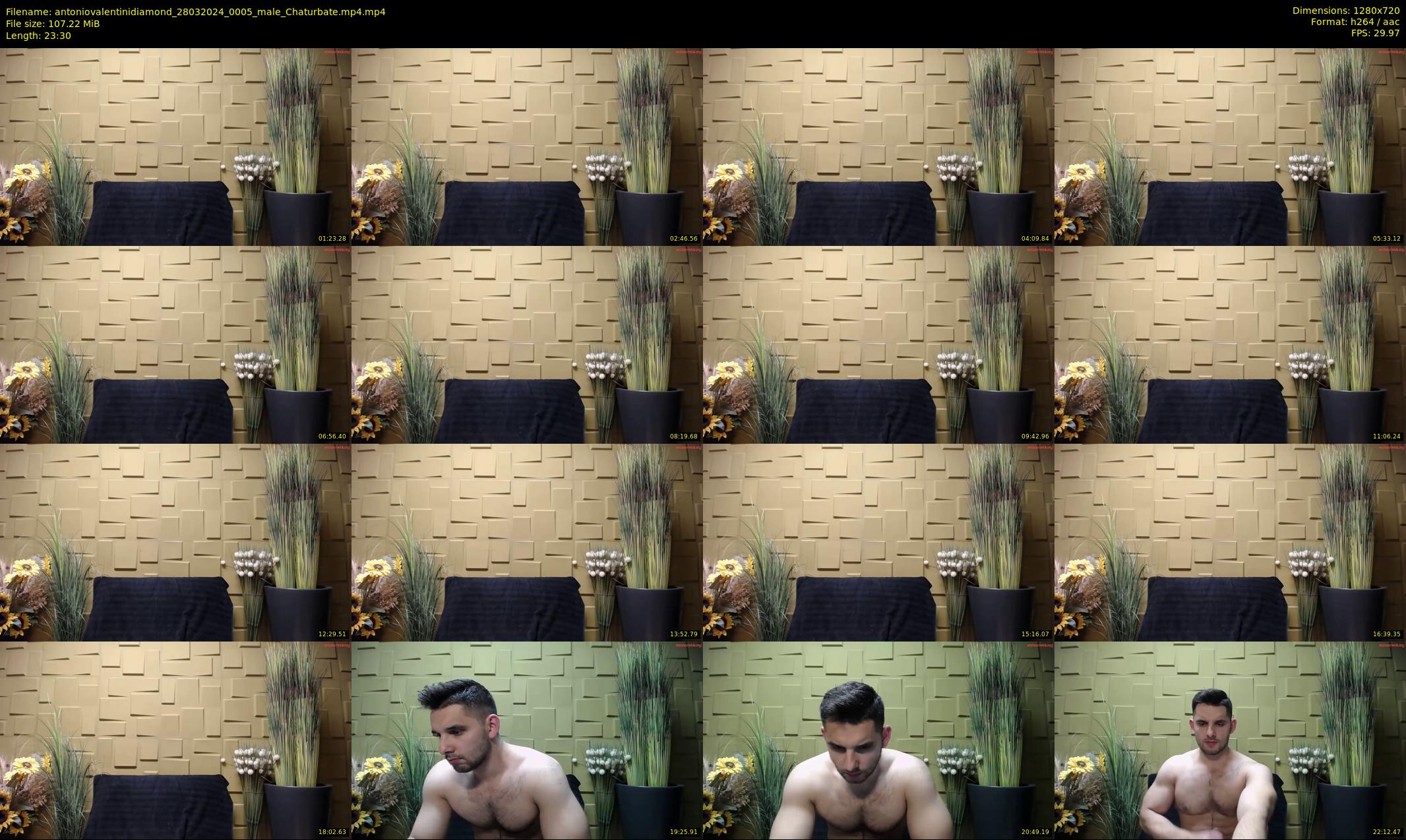 antoniovalentinidiamond — 24 minute Chaturbate male cam show recording, 720p, Mar 28, 2024
