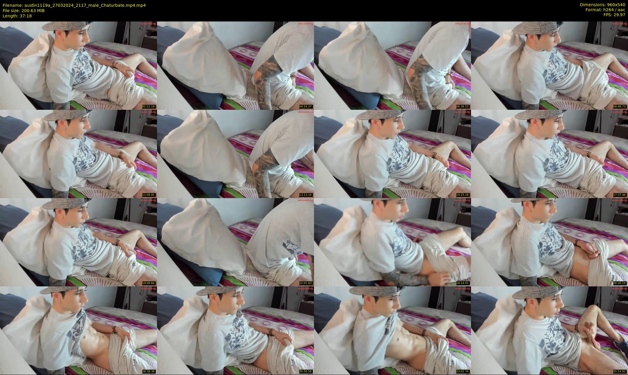 austin1119a — 38 minute Chaturbate male cam show recording, 480p, Mar 27, 2024