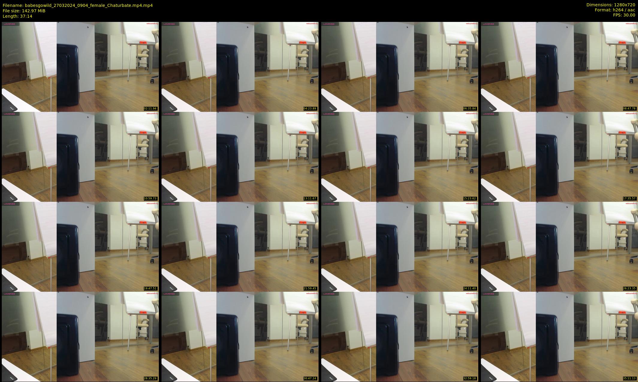 babesgowild — 38 minute Chaturbate couple cam show recording, 720p, Mar 27, 2024