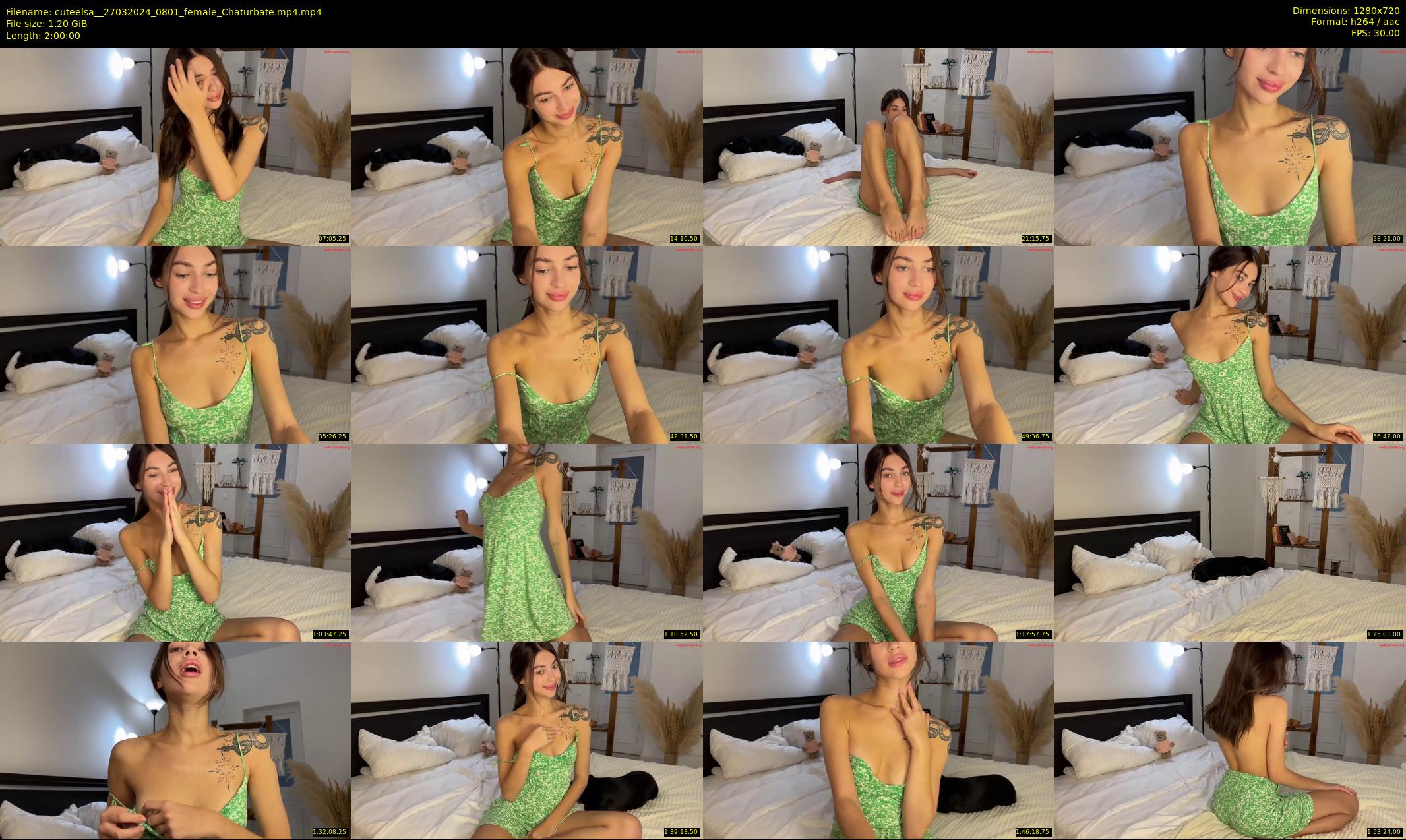 cuteelsa_ — 120 minute Chaturbate female cam show recording, 720p, Mar 27, 2024