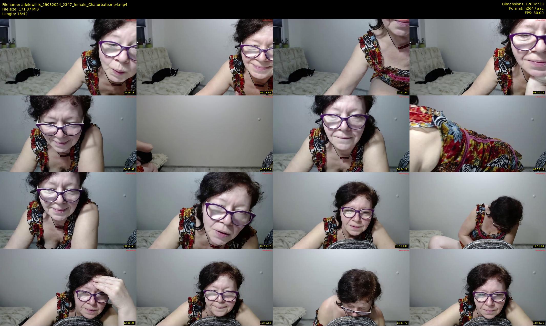 adelewildx — 17 minute Chaturbate female cam show recording, 720p, Mar 29, 2024