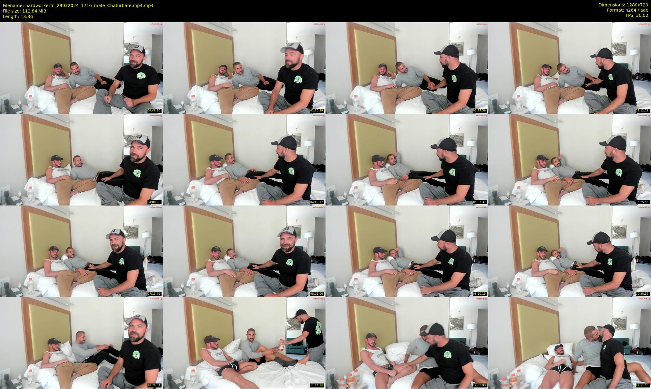 hardworkertn — 14 minute Chaturbate male cam show recording, 720p, Mar 29, 2024
