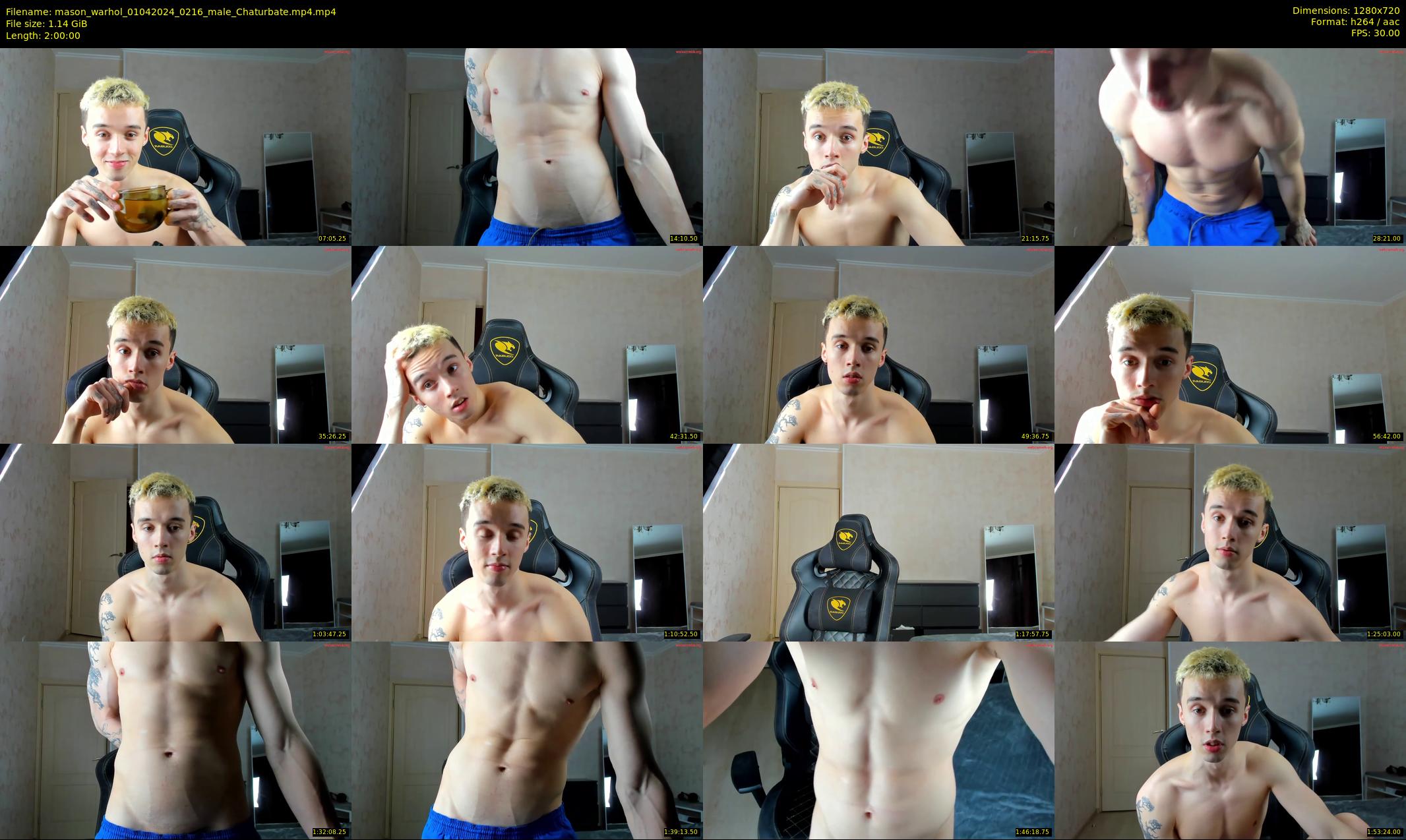 mason_warhol — 120 minute Chaturbate male cam show recording, 720p, Apr 1, 2024