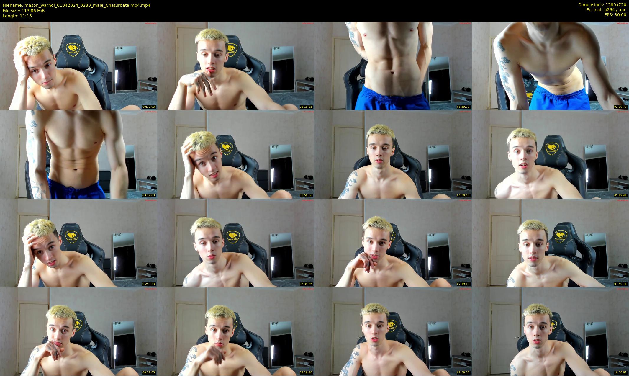 mason_warhol — 12 minute Chaturbate male cam show recording, 720p, Apr 1, 2024