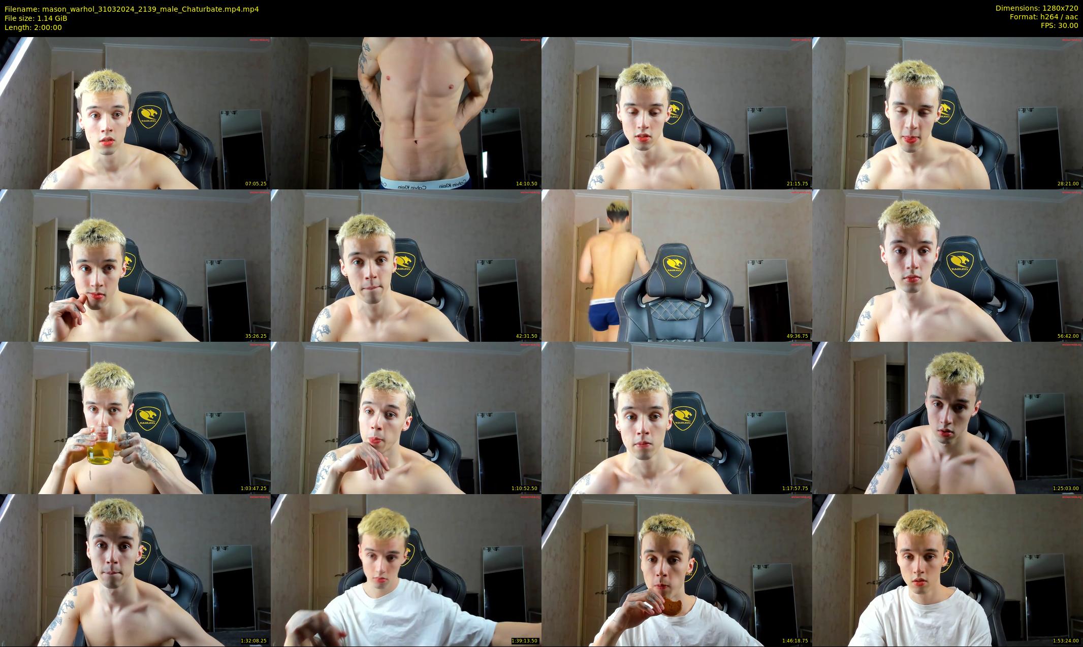 mason_warhol — 120 minute Chaturbate male cam show recording, 720p, Mar 31, 2024