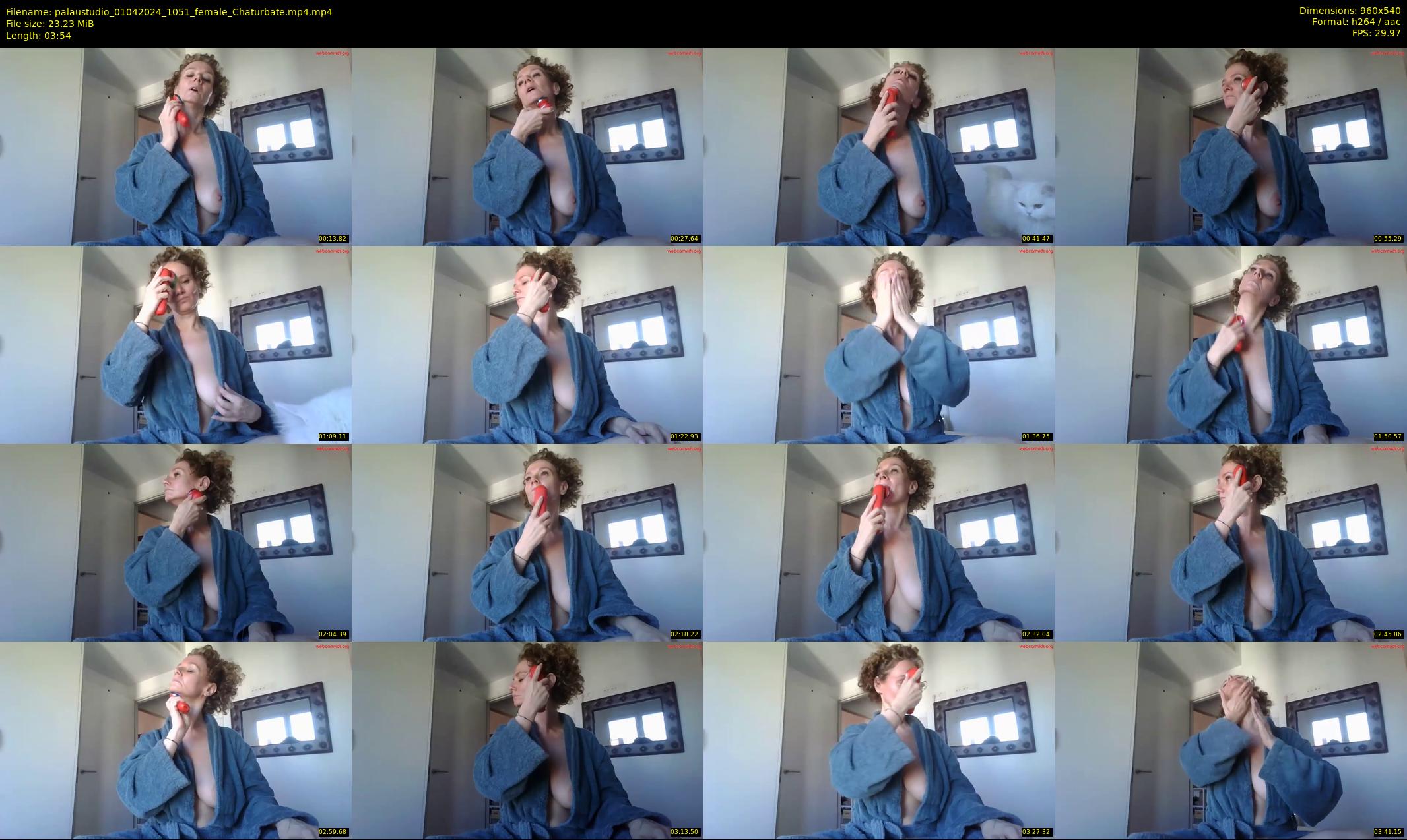 palaustudio — 4 minute Chaturbate female cam show recording, 480p, Apr 1, 2024