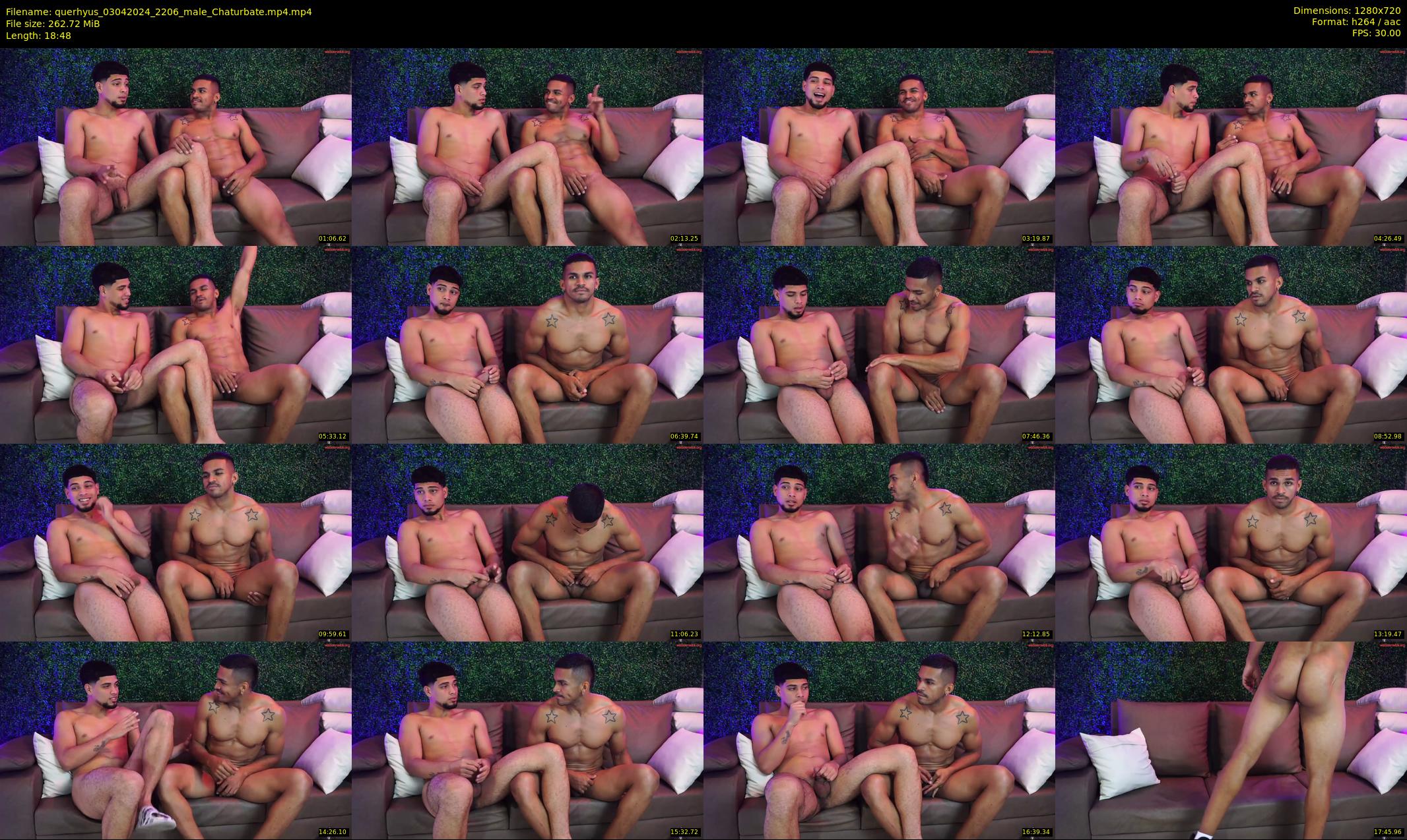 querhyus — 19 minute Chaturbate male cam show recording, 720p, Apr 3, 2024