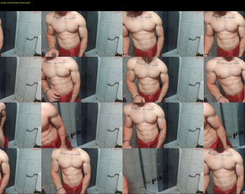 advp69 — 13 minute Chaturbate male cam show recording, 480p, Apr 4, 2024