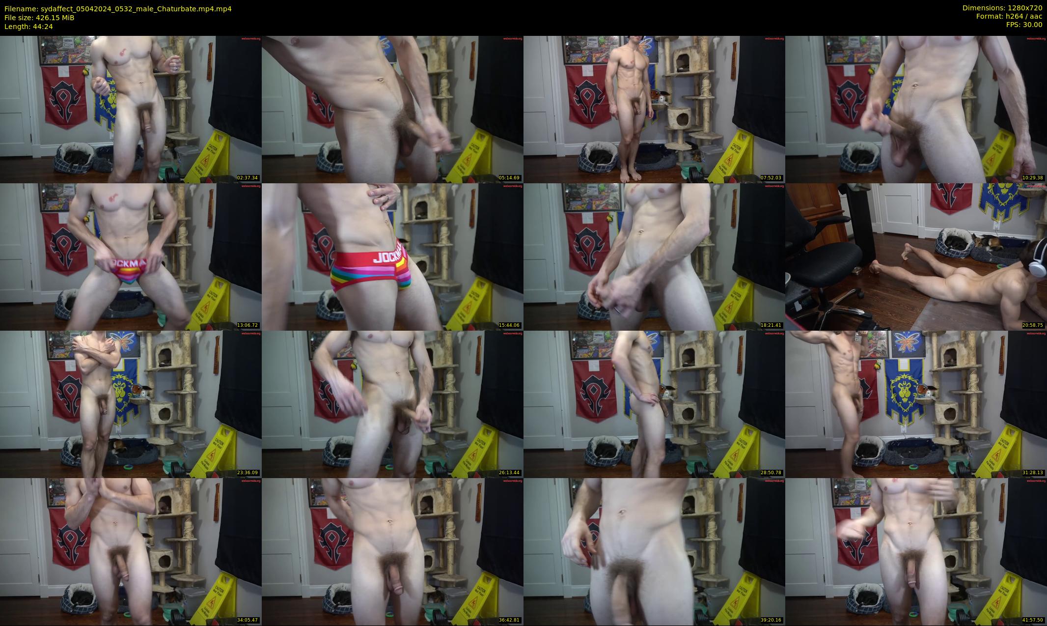 sydaffect — 45 minute Chaturbate male cam show recording, 720p, Apr 5, 2024