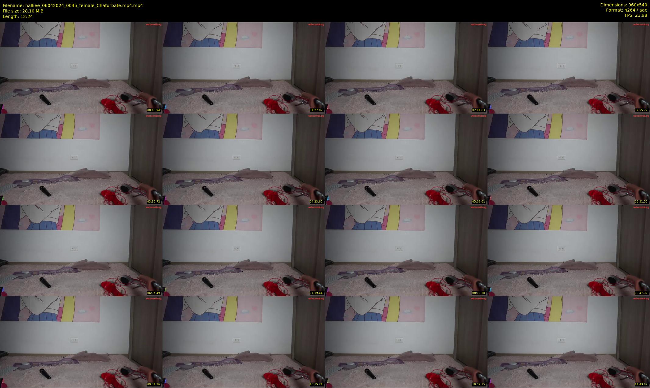 halliee — 13 minute Chaturbate couple cam show recording, 480p, Apr 6, 2024