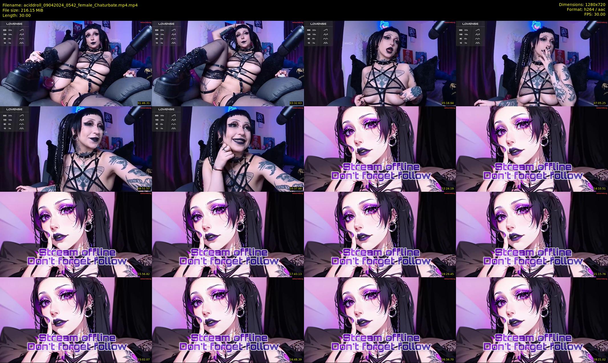 aciddroll — 30 minute Chaturbate female cam show recording, 720p, Apr 9, 2024