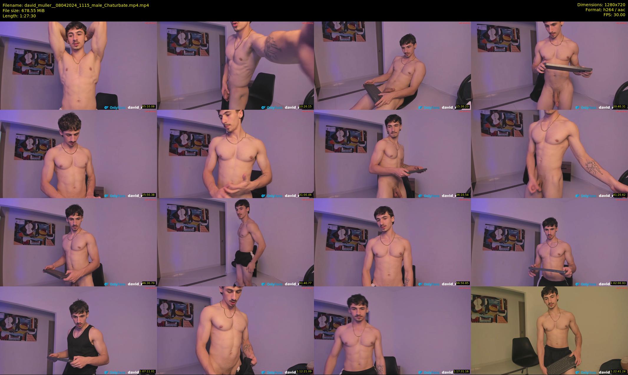 david_muller_ — 88 minute Chaturbate male cam show recording, 720p, Apr 8, 2024