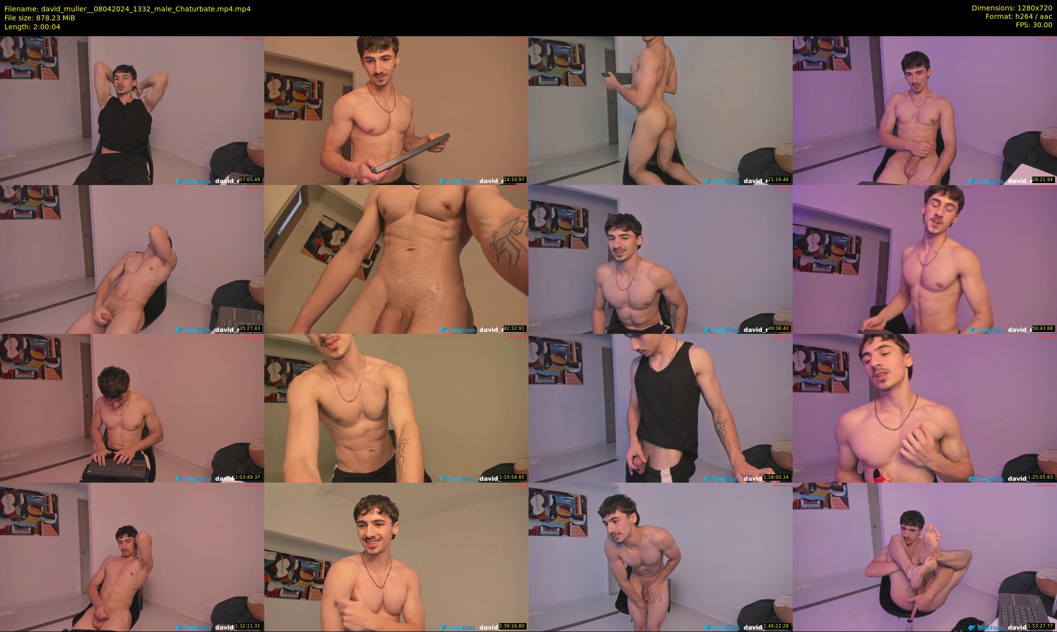 david_muller_ — 121 minute Chaturbate male cam show recording, 720p, Apr 8, 2024