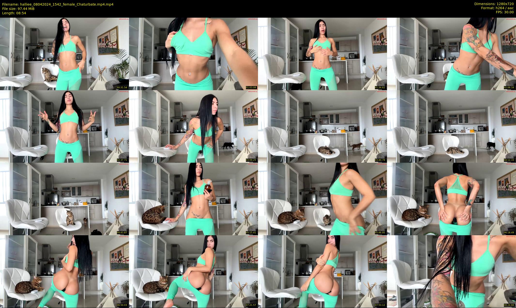 halliee — 9 minute Chaturbate couple cam show recording, 720p, Apr 8, 2024