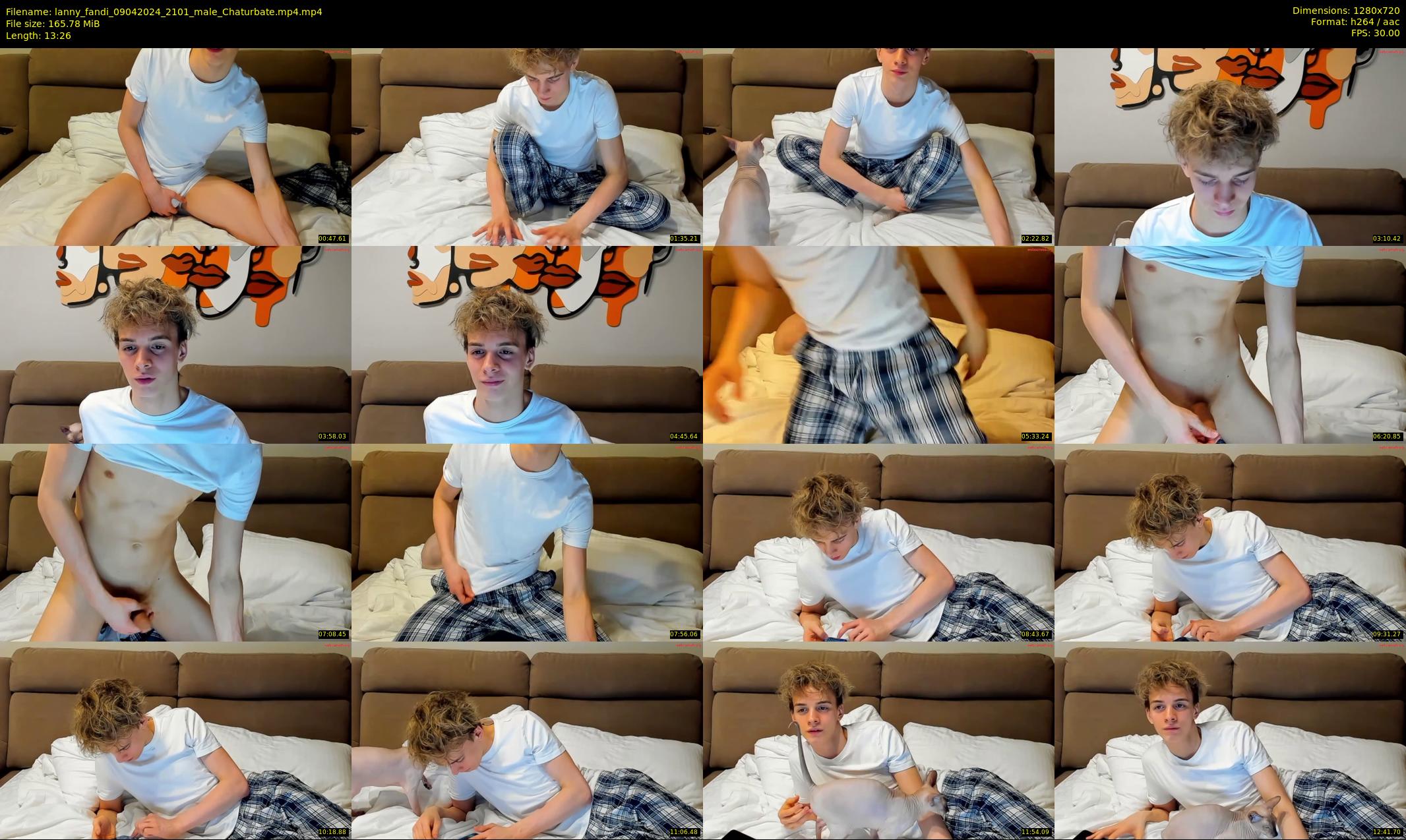 lanny_fandi — 14 minute Chaturbate male cam show recording, 720p, Apr 9, 2024