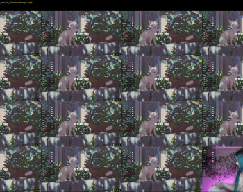 le_chan — 17 minute Chaturbate female cam show recording, 720p, Apr 9, 2024