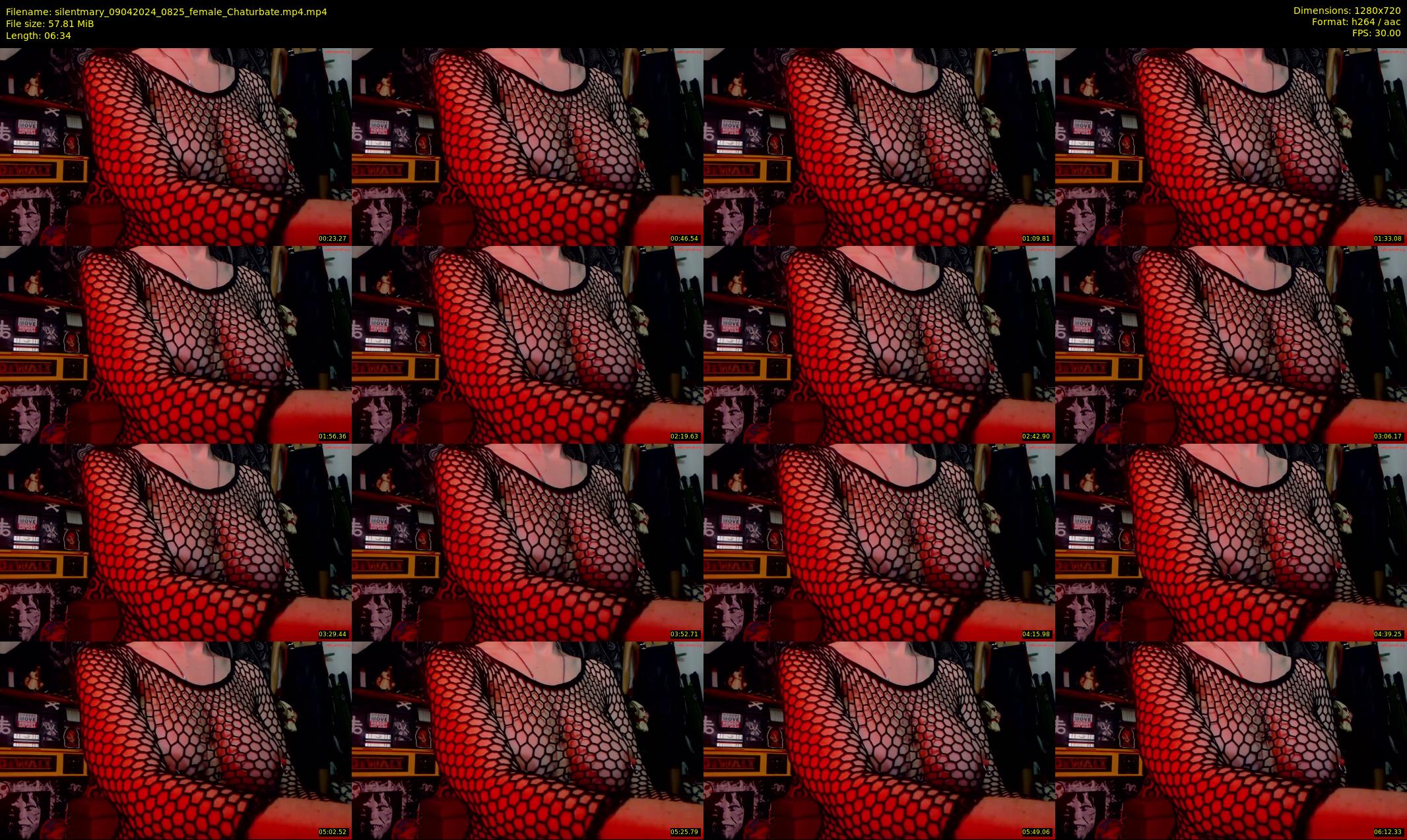 silentmary — 7 minute Chaturbate female cam show recording, 720p, Apr 9, 2024