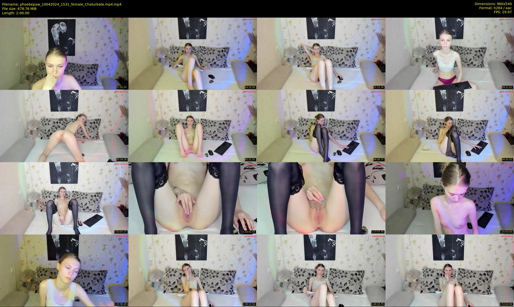 phoebepaw — 120 minute Chaturbate female cam show recording, 480p, Apr 10, 2024