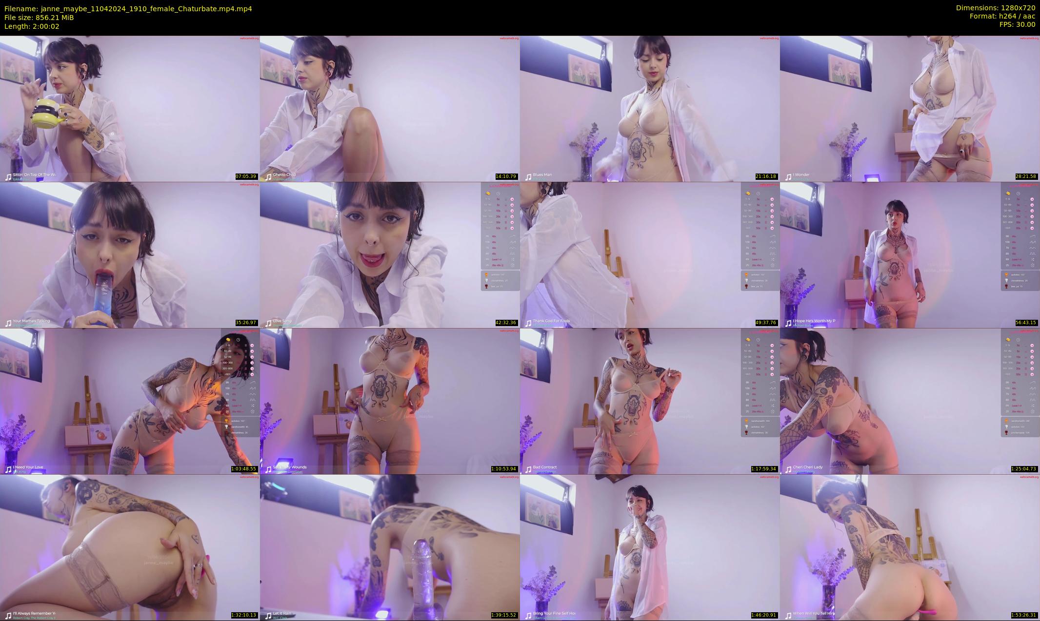 janne_maybe — 121 minute Chaturbate female cam show recording, 720p, Apr 11, 2024