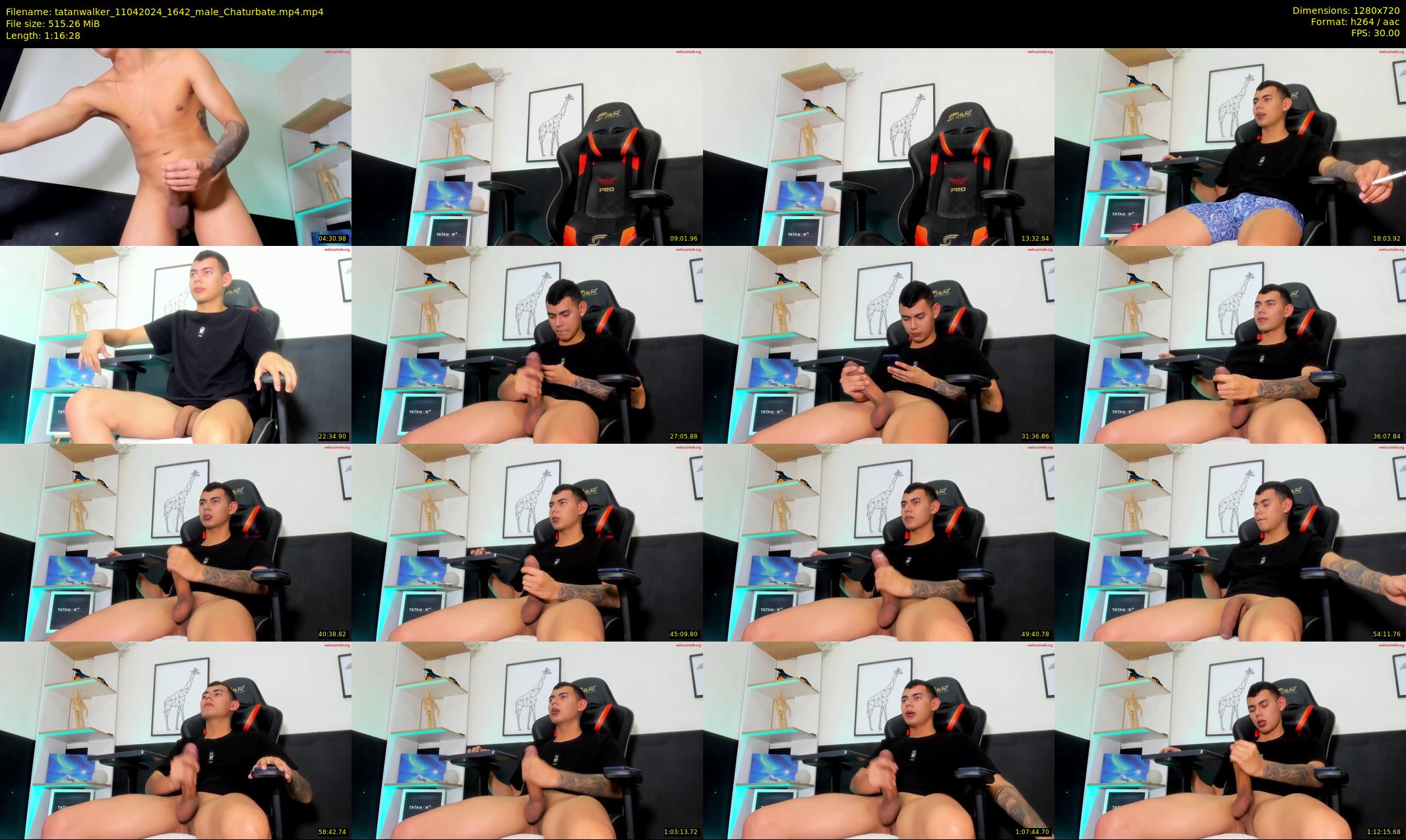 tatanwalker — 77 minute Chaturbate male cam show recording, 720p, Apr 11, 2024