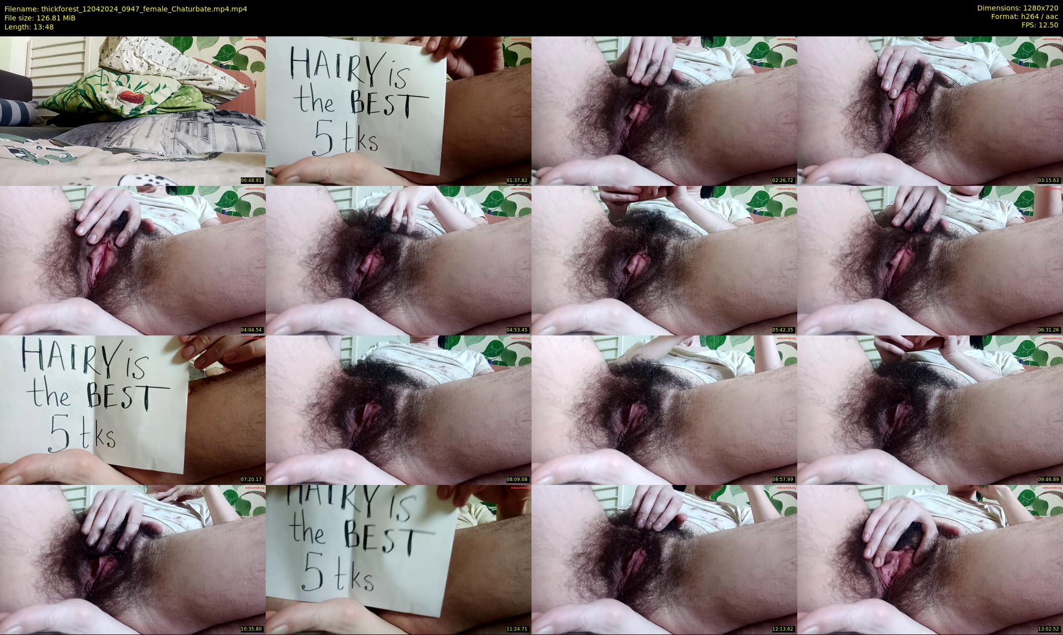 thickforest — 14 minute Chaturbate female cam show recording, 720p, Apr 12, 2024