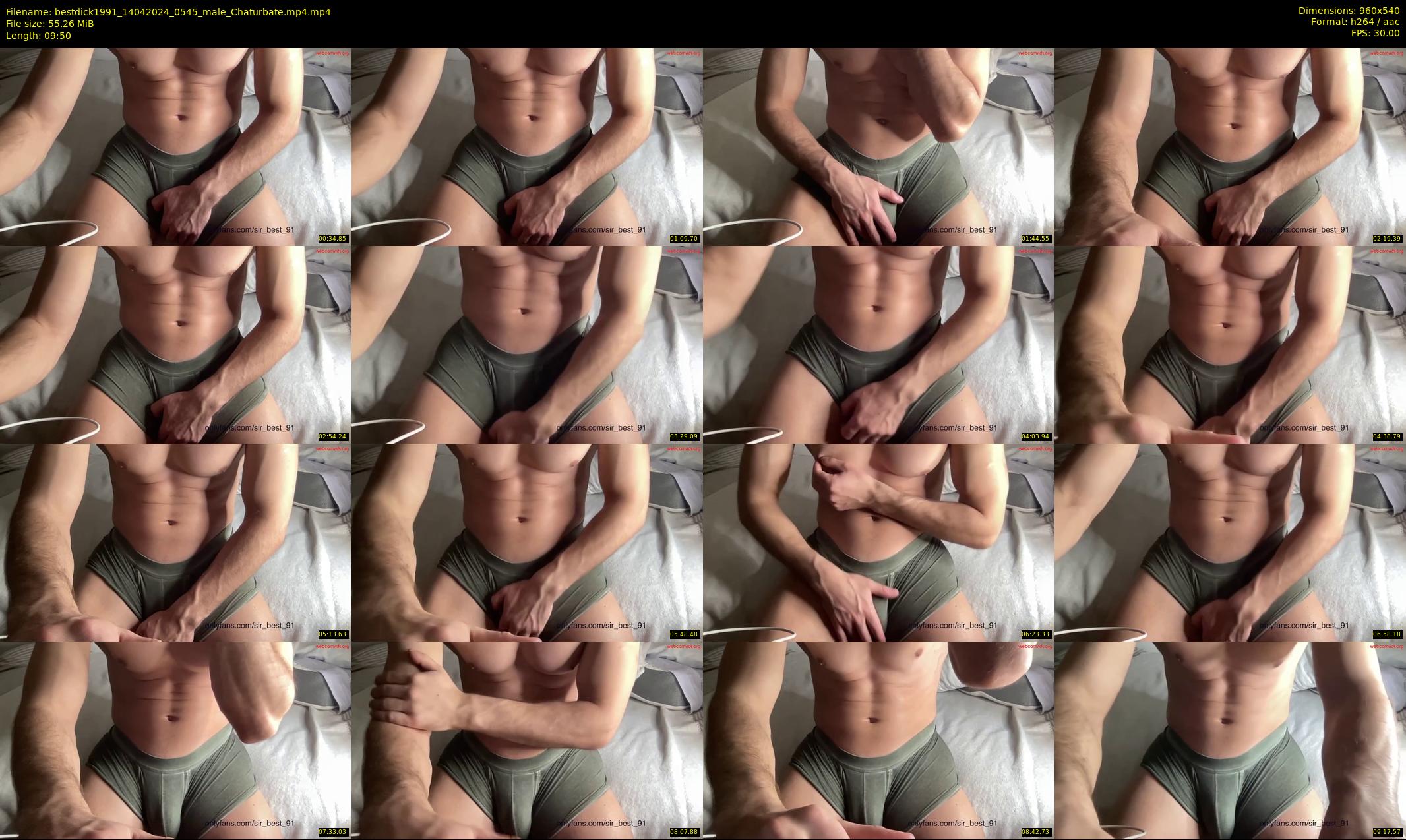 bestdick1991 — 10 minute Chaturbate male cam show recording, 480p, Apr 14, 2024
