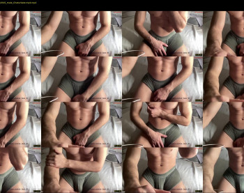 bestdick1991 — 10 minute Chaturbate male cam show recording, 480p, Apr 14, 2024