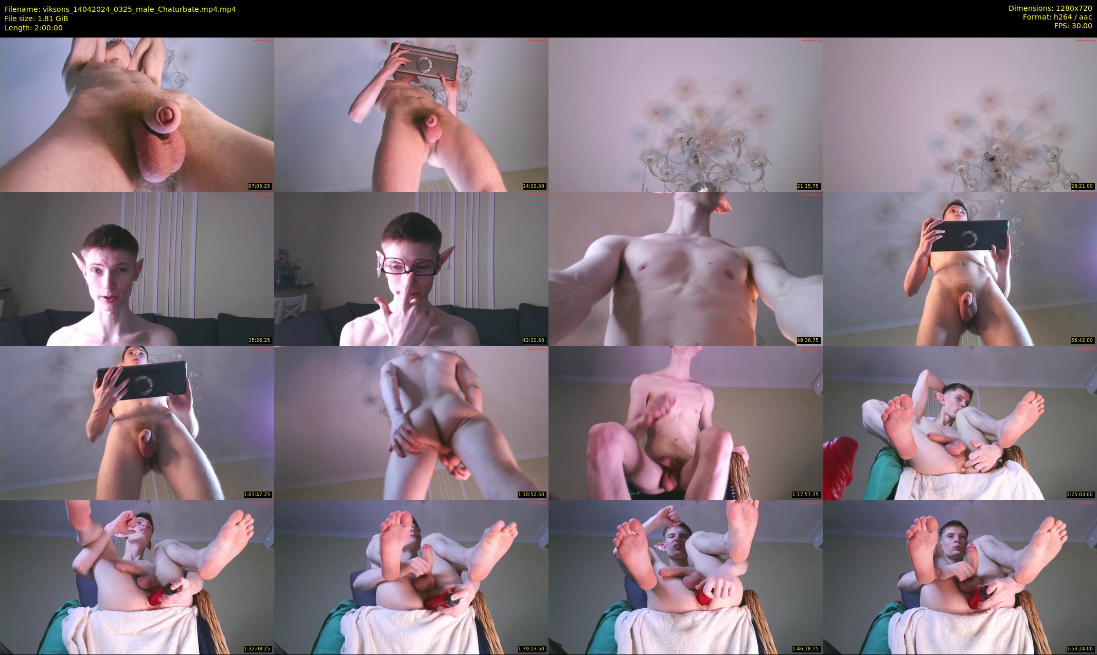 viksons — 120 minute Chaturbate male cam show recording, 720p, Apr 14, 2024