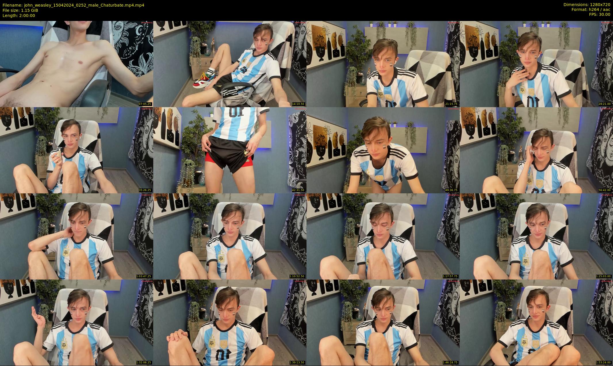 john_weasley — 120 minute Chaturbate male cam show recording, 720p, Apr 15, 2024