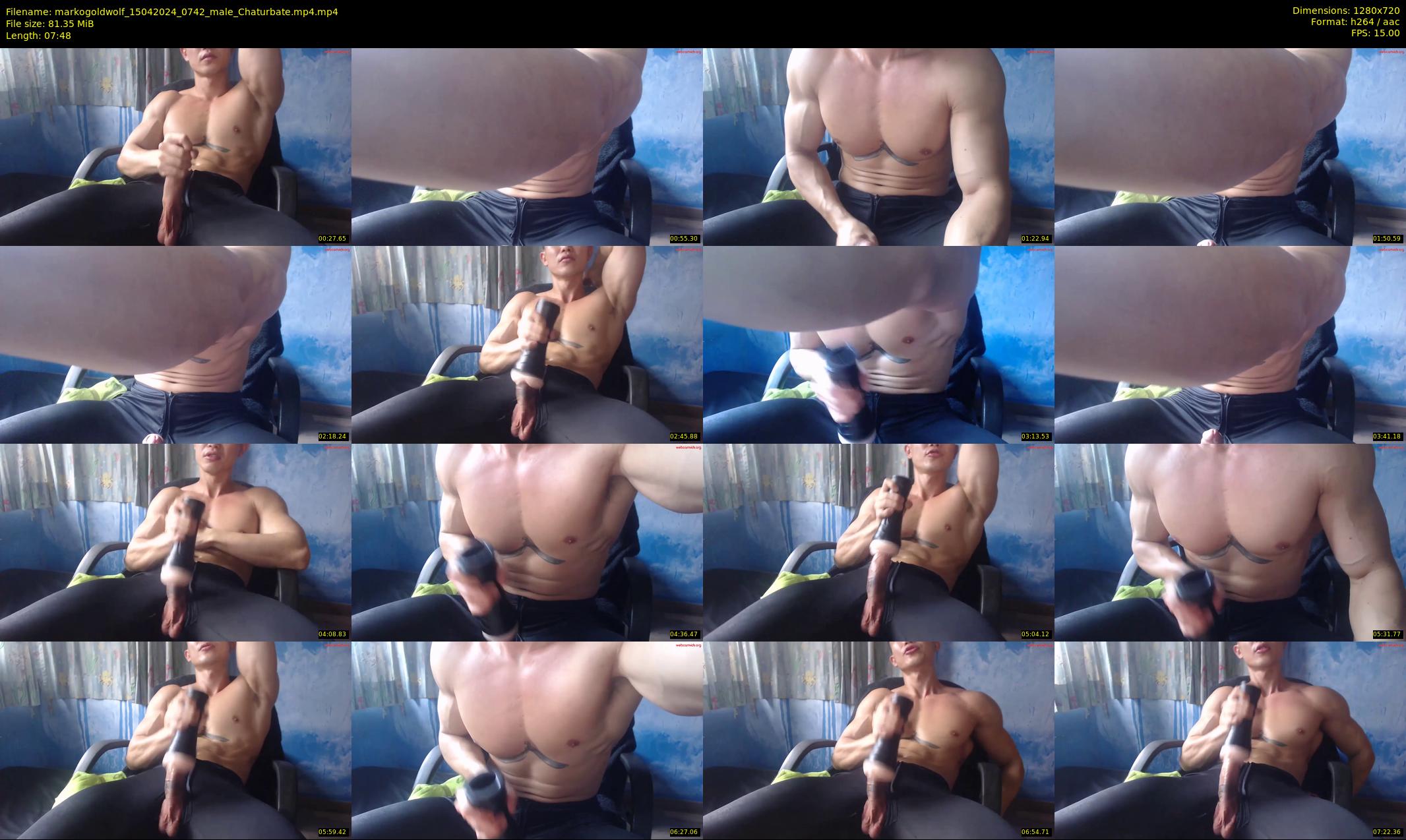 markogoldwolf — 8 minute Chaturbate male cam show recording, 720p, Apr 15, 2024