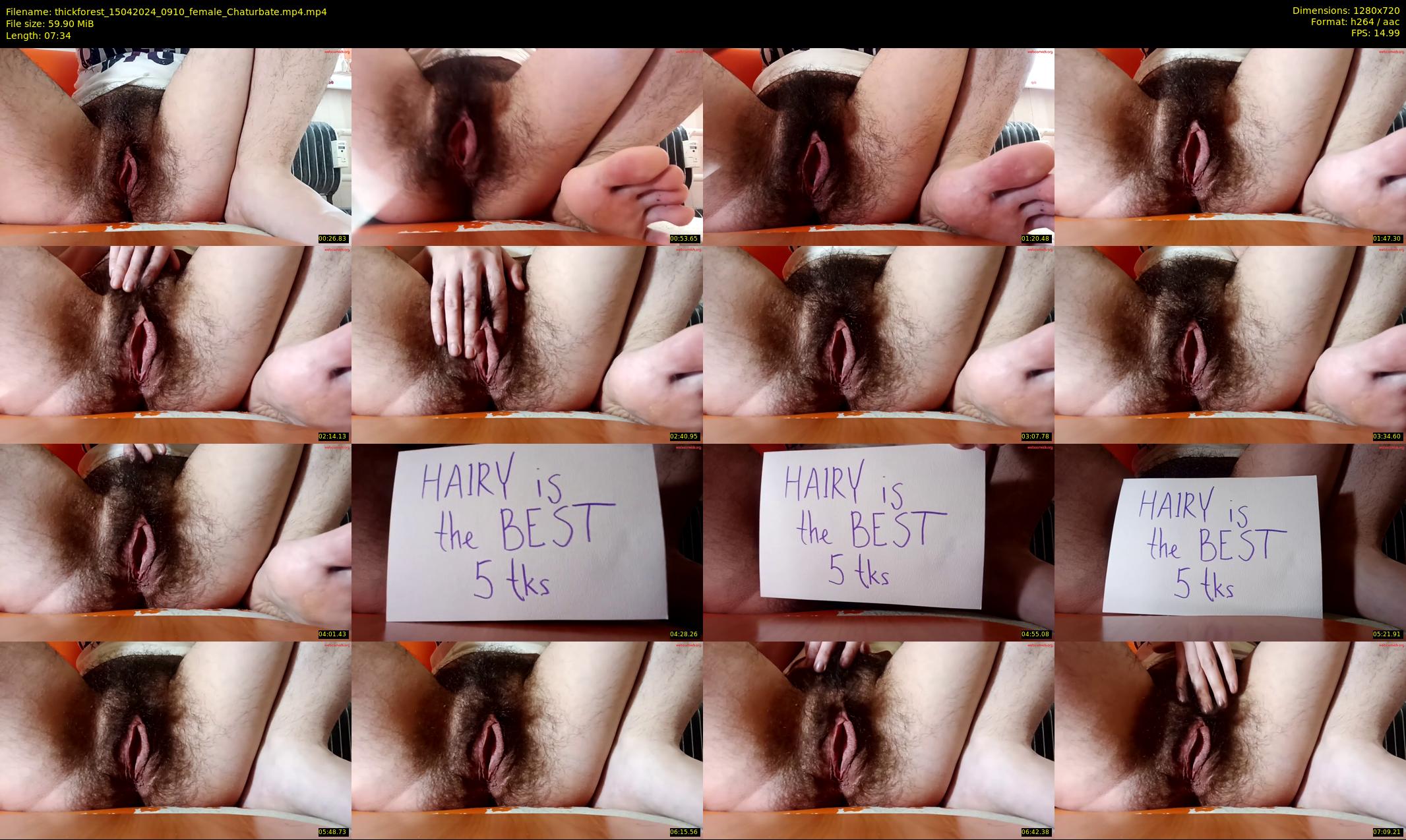 thickforest — 8 minute Chaturbate female cam show recording, 720p, Apr 15, 2024