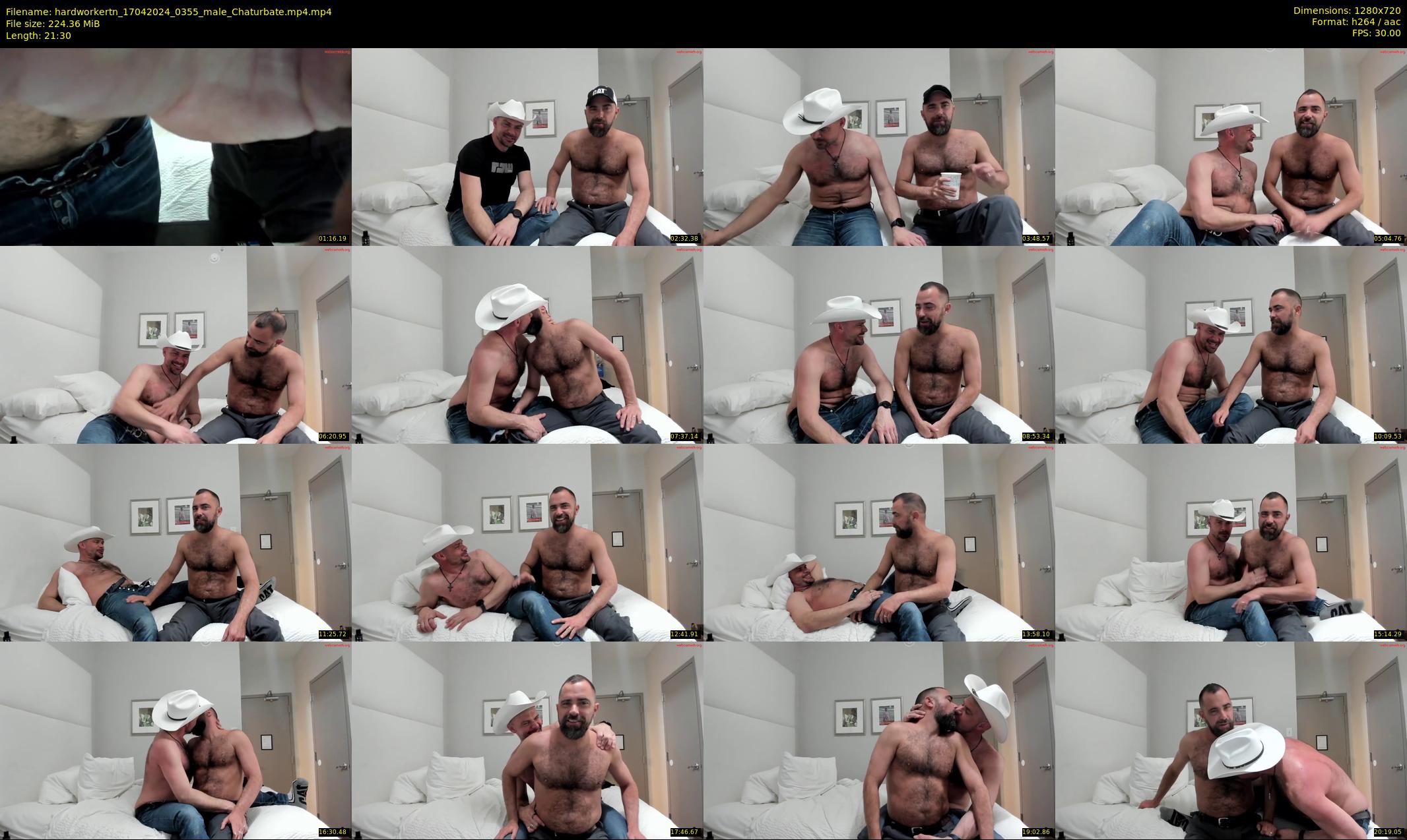 hardworkertn — 22 minute Chaturbate male cam show recording, 720p, Apr 17, 2024