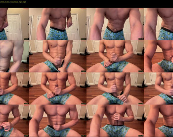 mrddiggler18 — 33 minute Chaturbate male cam show recording, 480p, Apr 17, 2024