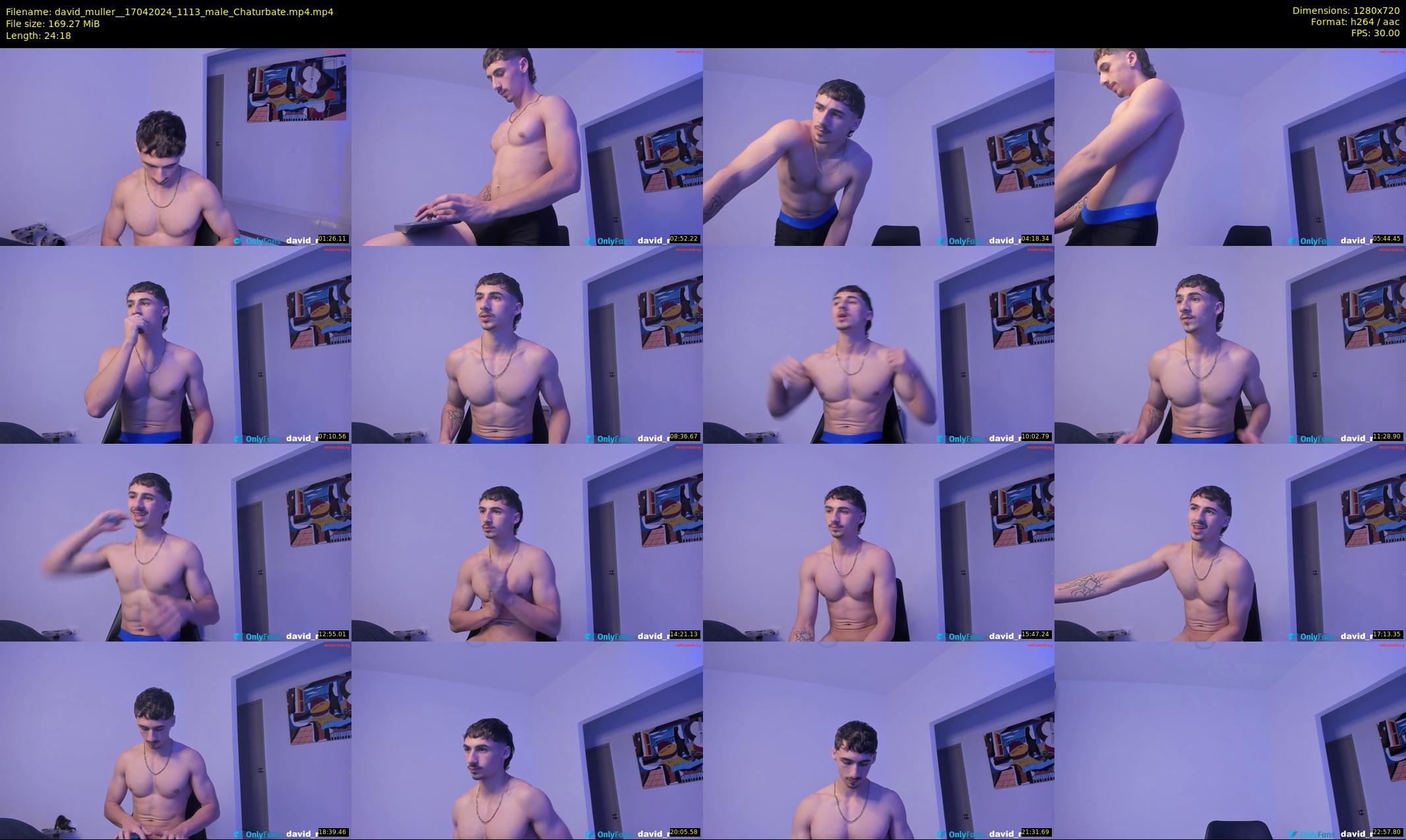 david_muller_ — 25 minute Chaturbate male cam show recording, 720p, Apr 17, 2024