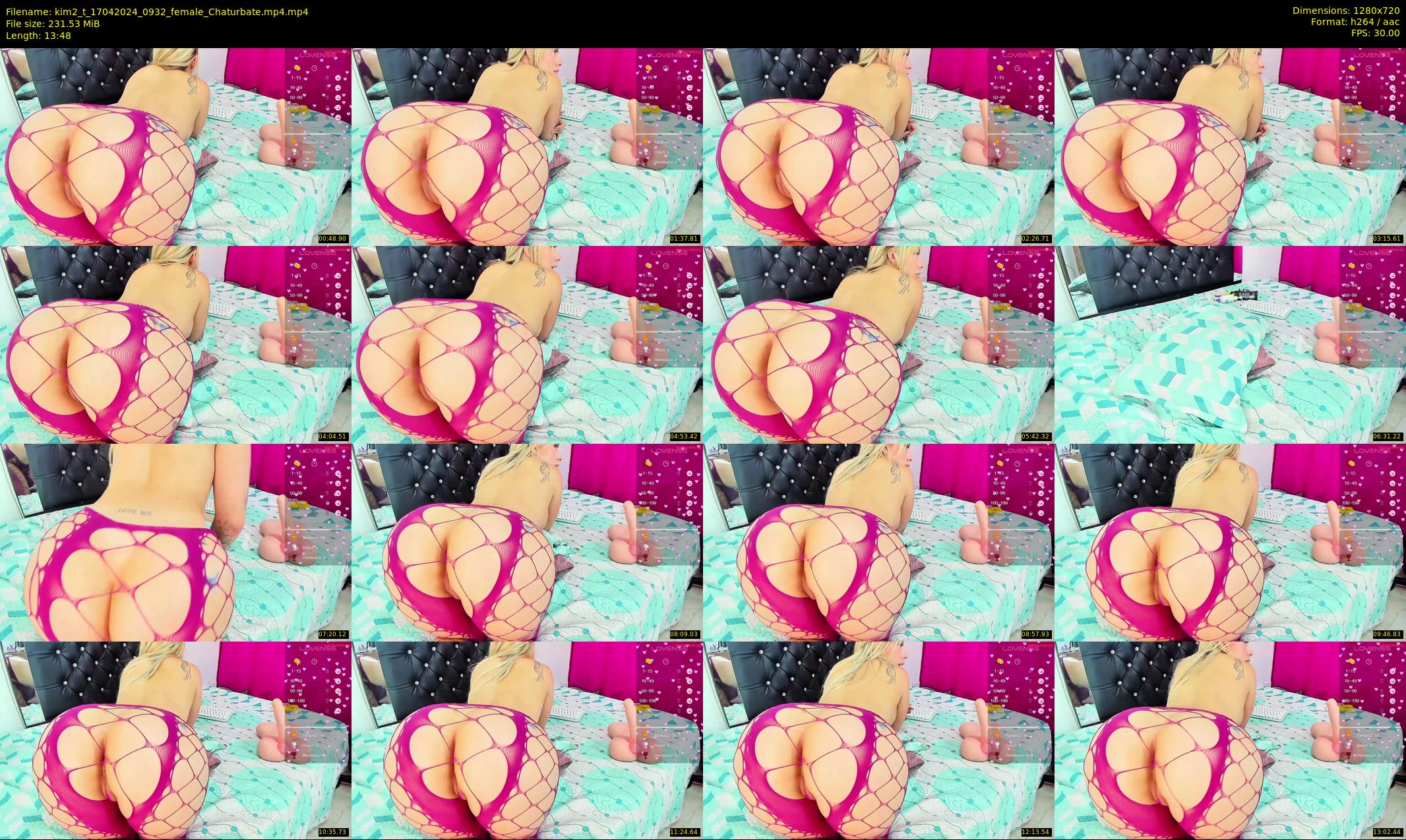 kim2_t — 14 minute Chaturbate female cam show recording, 720p, Apr 17, 2024