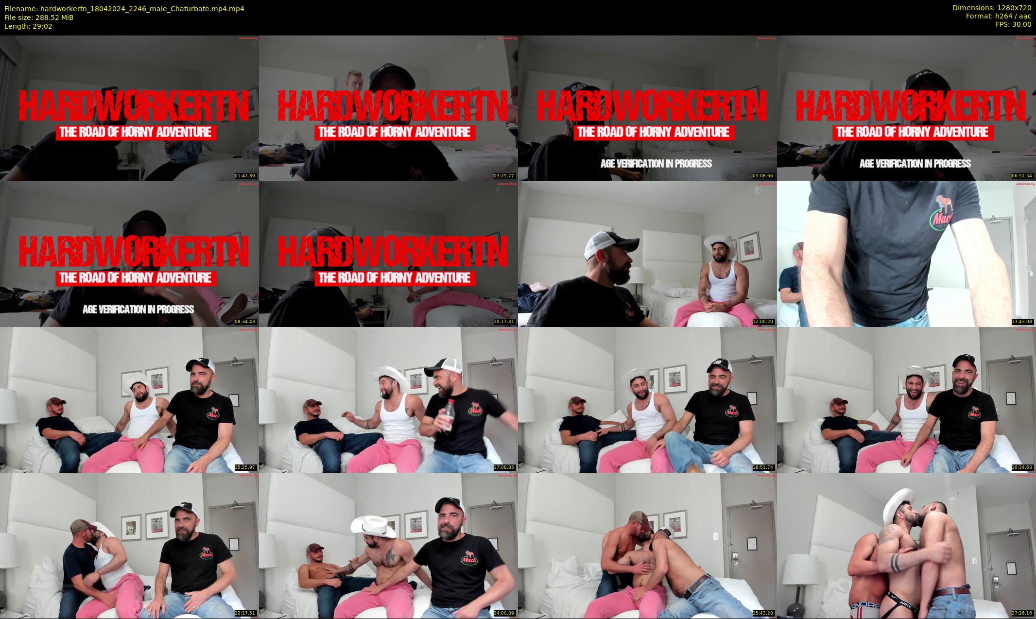 hardworkertn — 30 minute Chaturbate male cam show recording, 720p, Apr 18, 2024