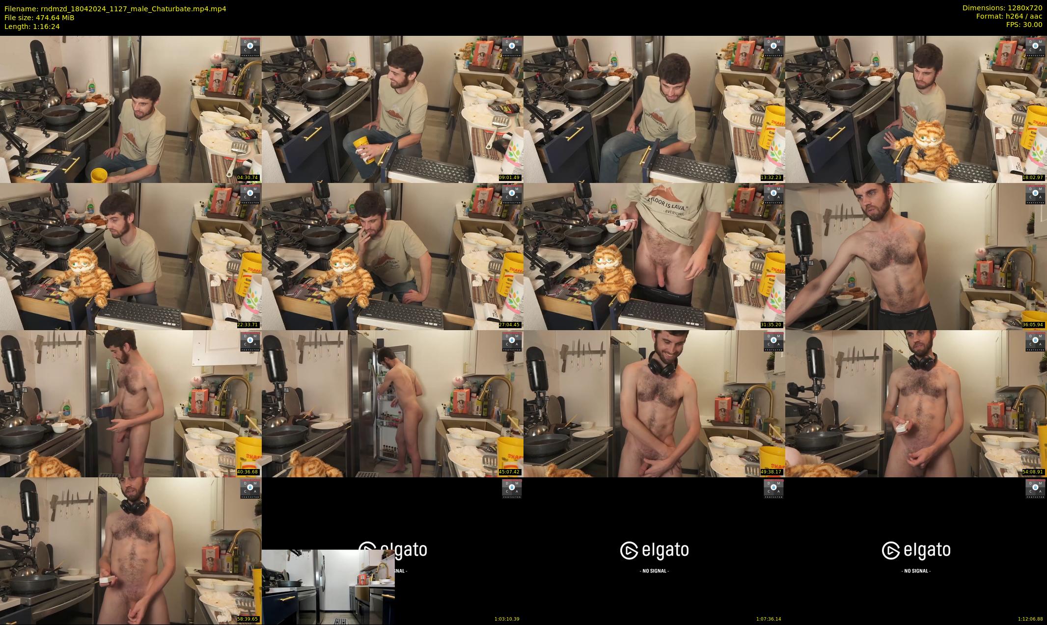 rndmzd — 77 minute Chaturbate male cam show recording, 720p, Apr 18, 2024
