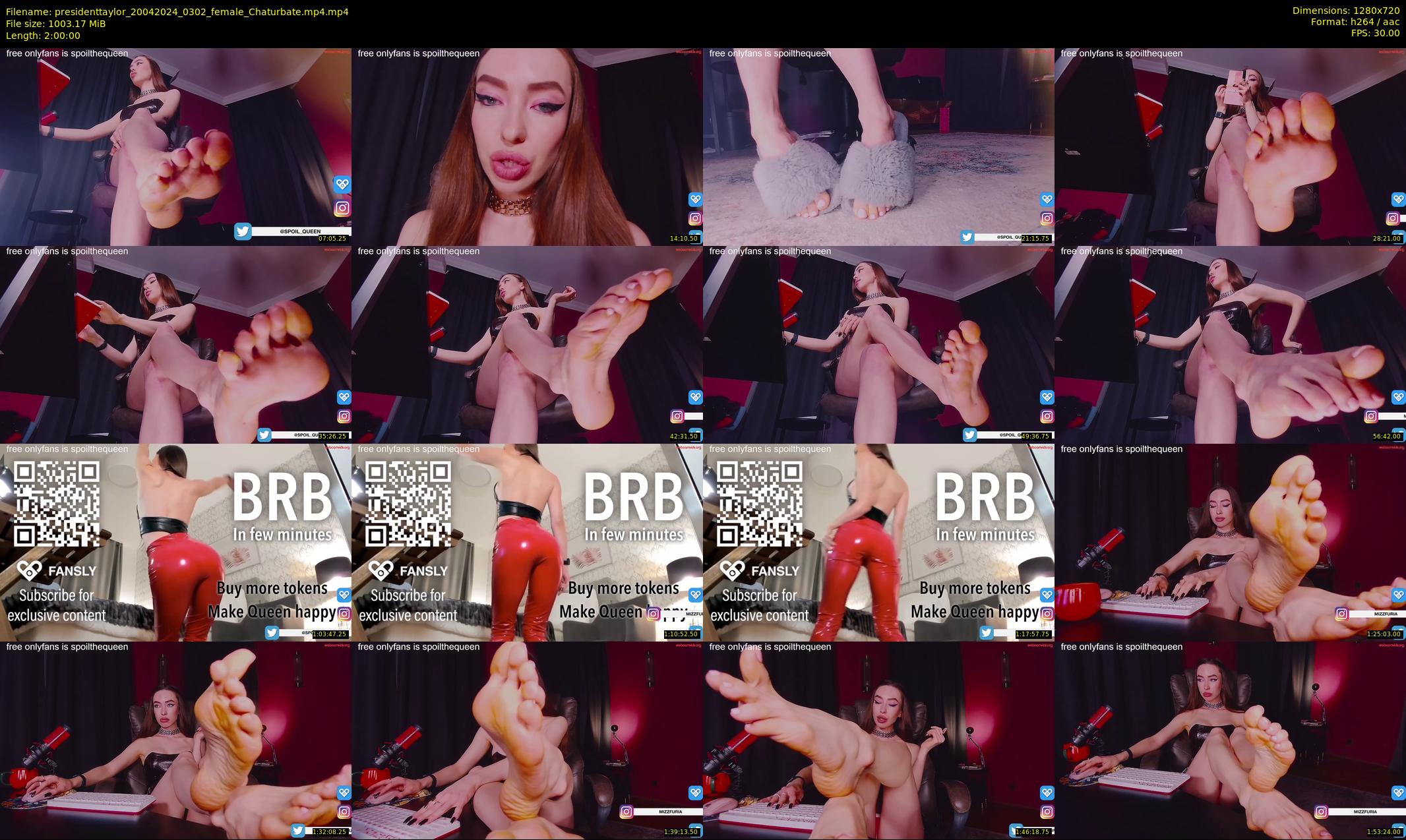 presidenttaylor — 120 minute Chaturbate female cam show recording, 720p, Apr 20, 2024