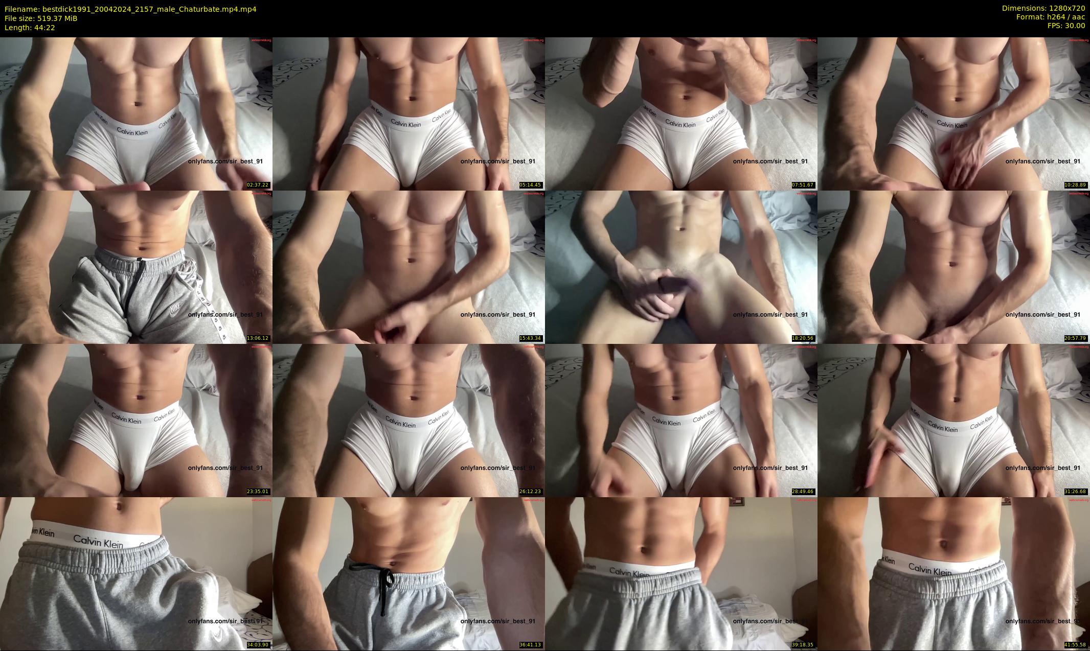 bestdick1991 — 45 minute Chaturbate male cam show recording, 720p, Apr 20, 2024