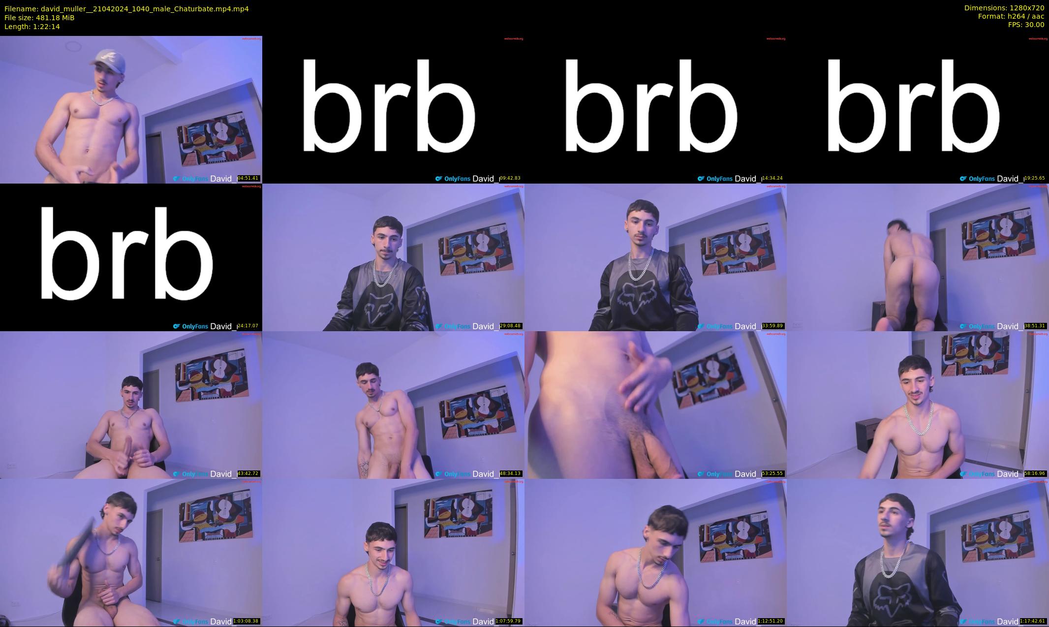 david_muller_ — 83 minute Chaturbate male cam show recording, 720p, Apr 21, 2024