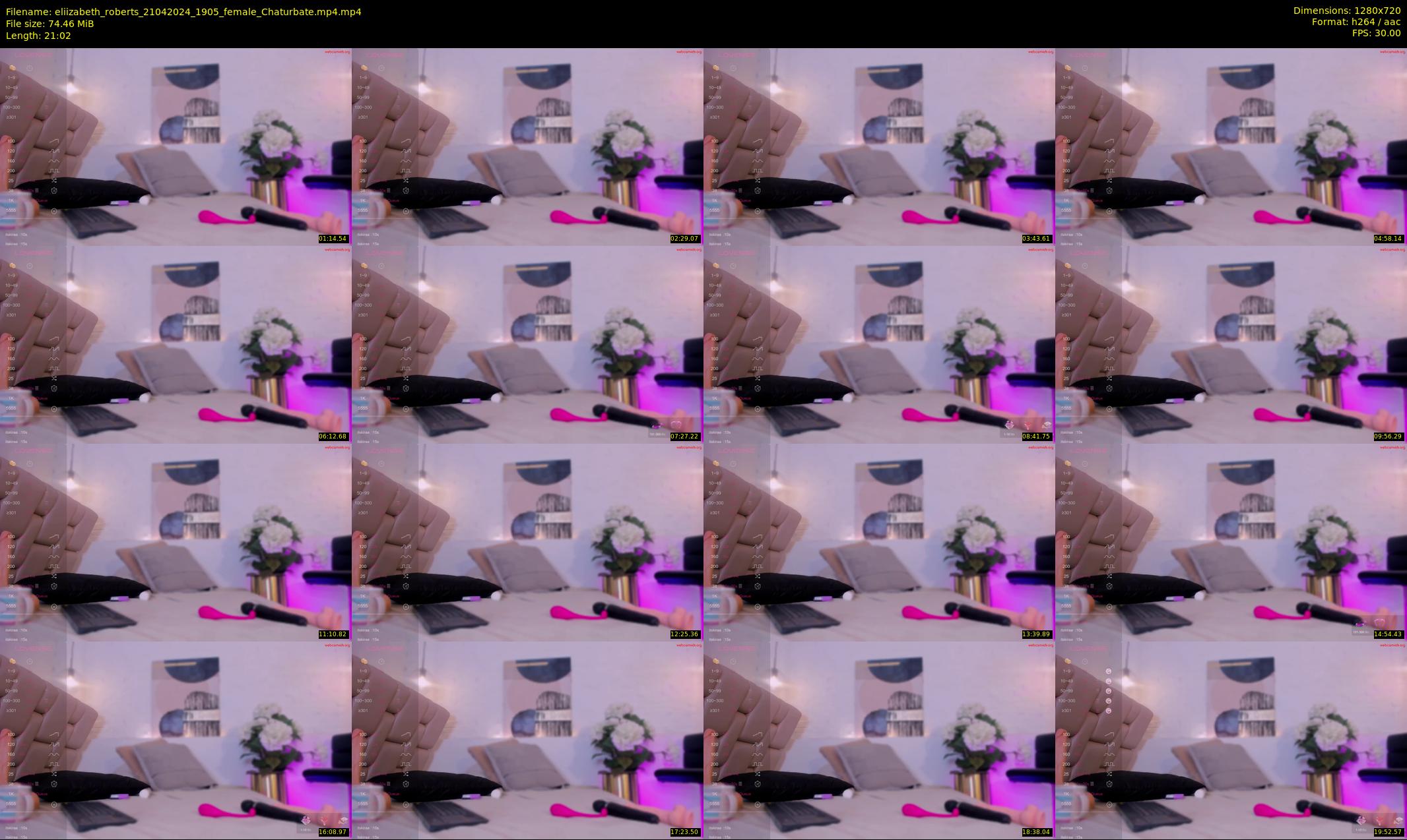 eliizabeth_roberts — 22 minute Chaturbate female cam show recording, 720p, Apr 21, 2024